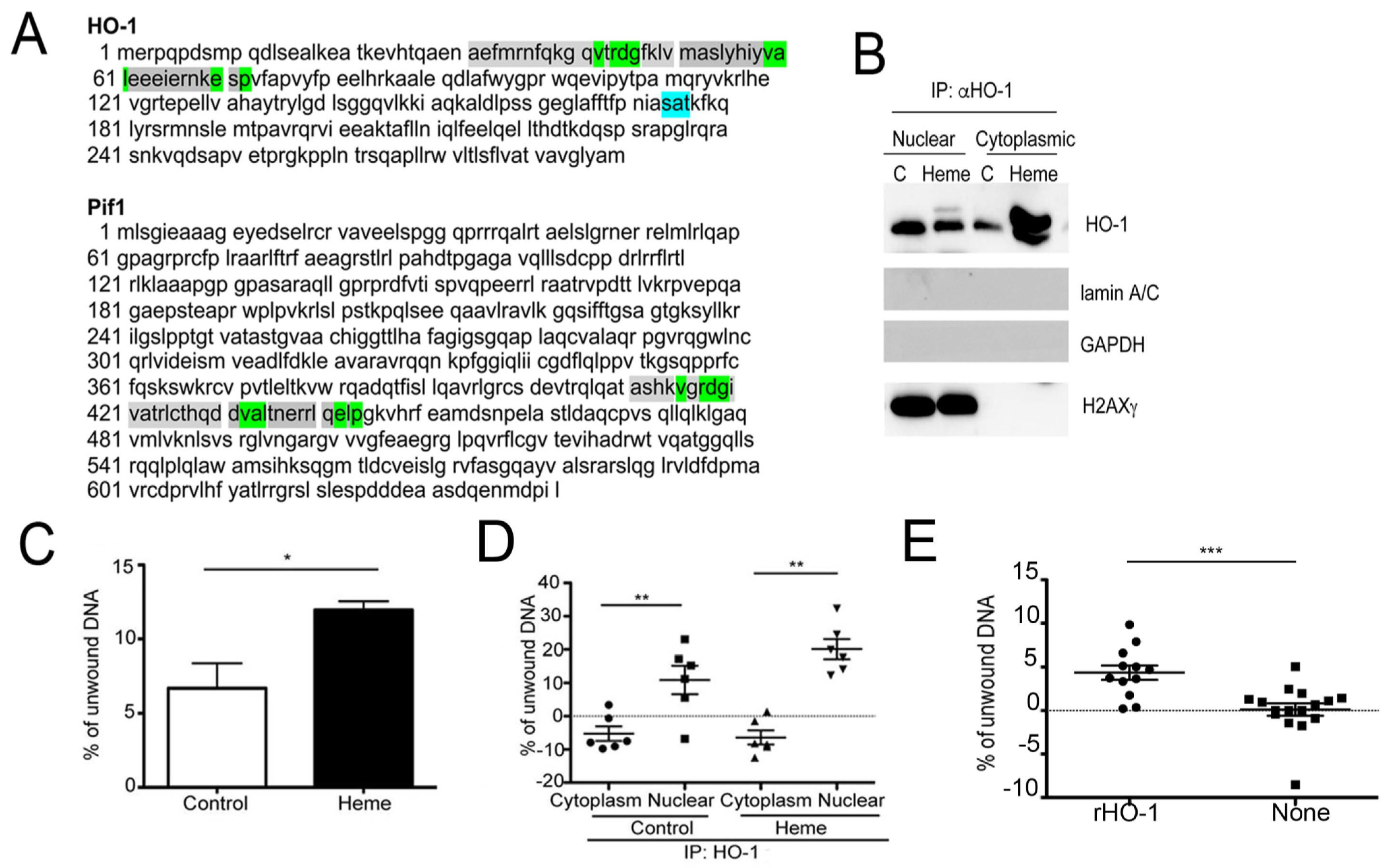 Cells 10 01801 g003 Cells 10 01801 g003