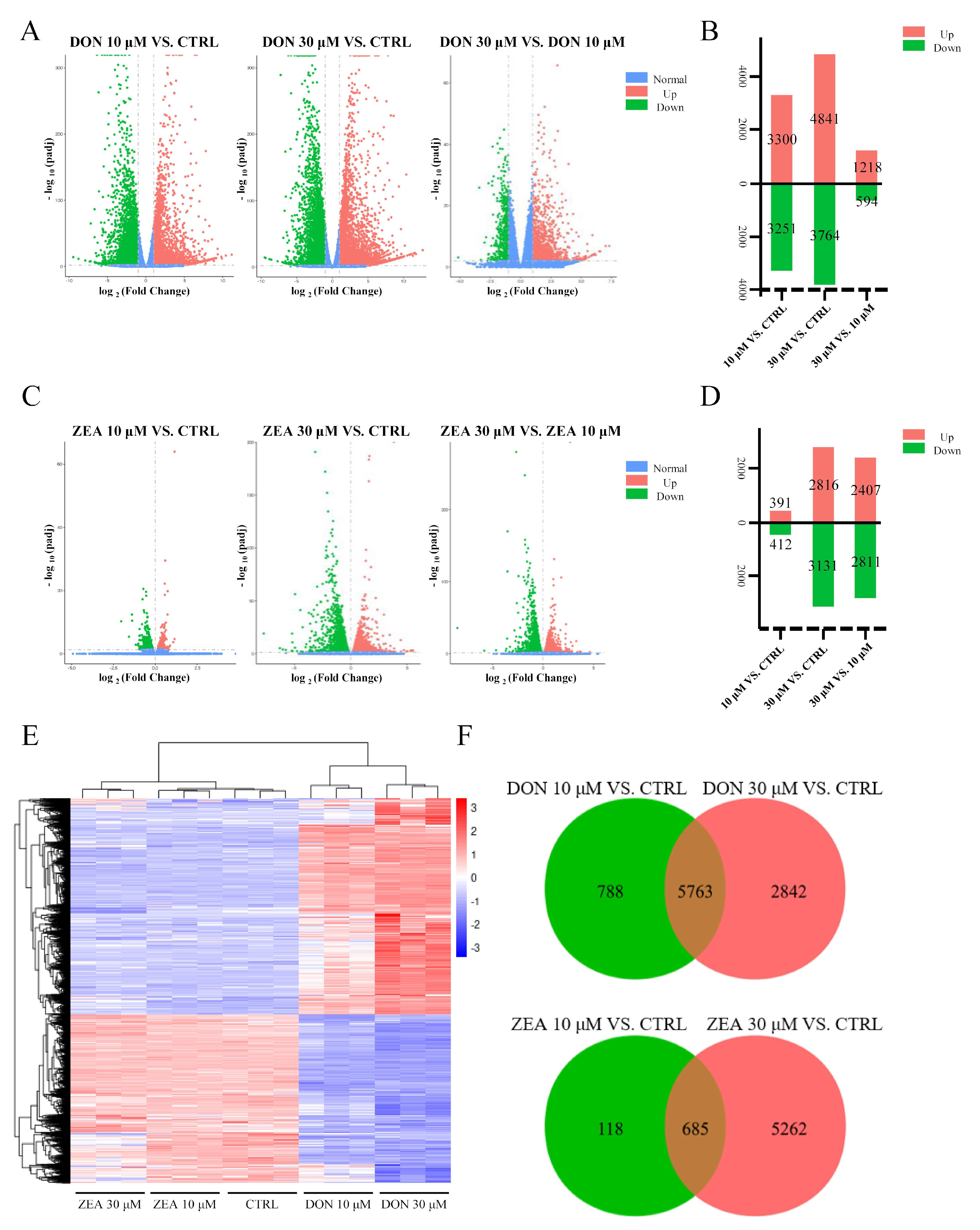 Cells 10 01898 g003 Cells 10 01898 g003