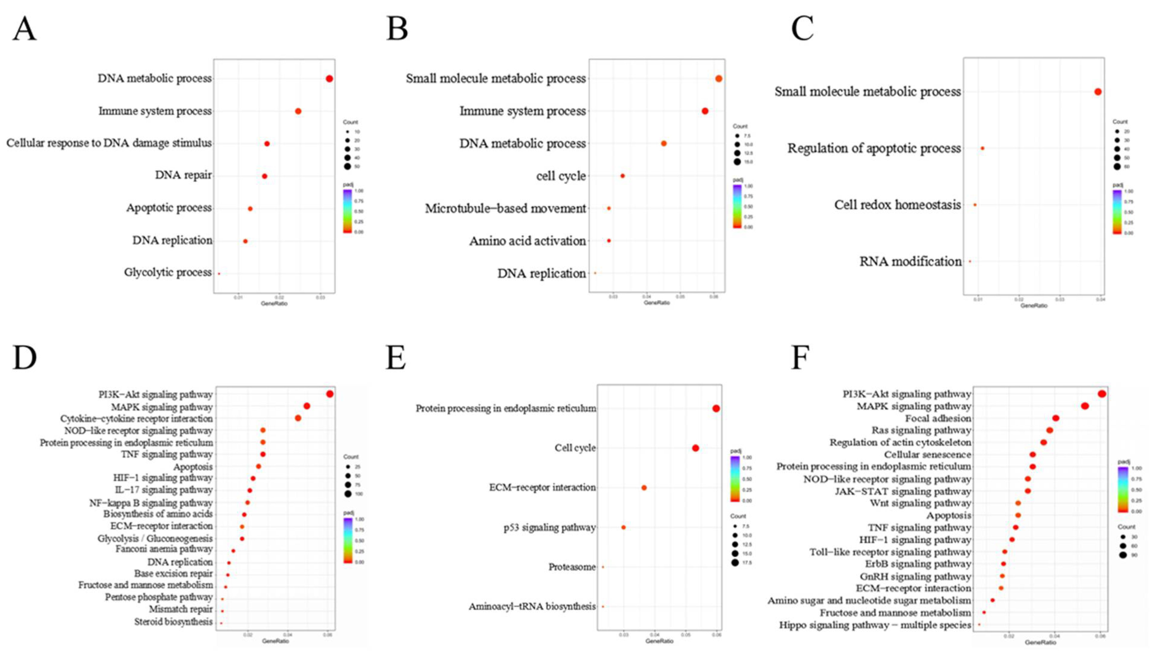 Cells 10 01898 g004 Cells 10 01898 g004