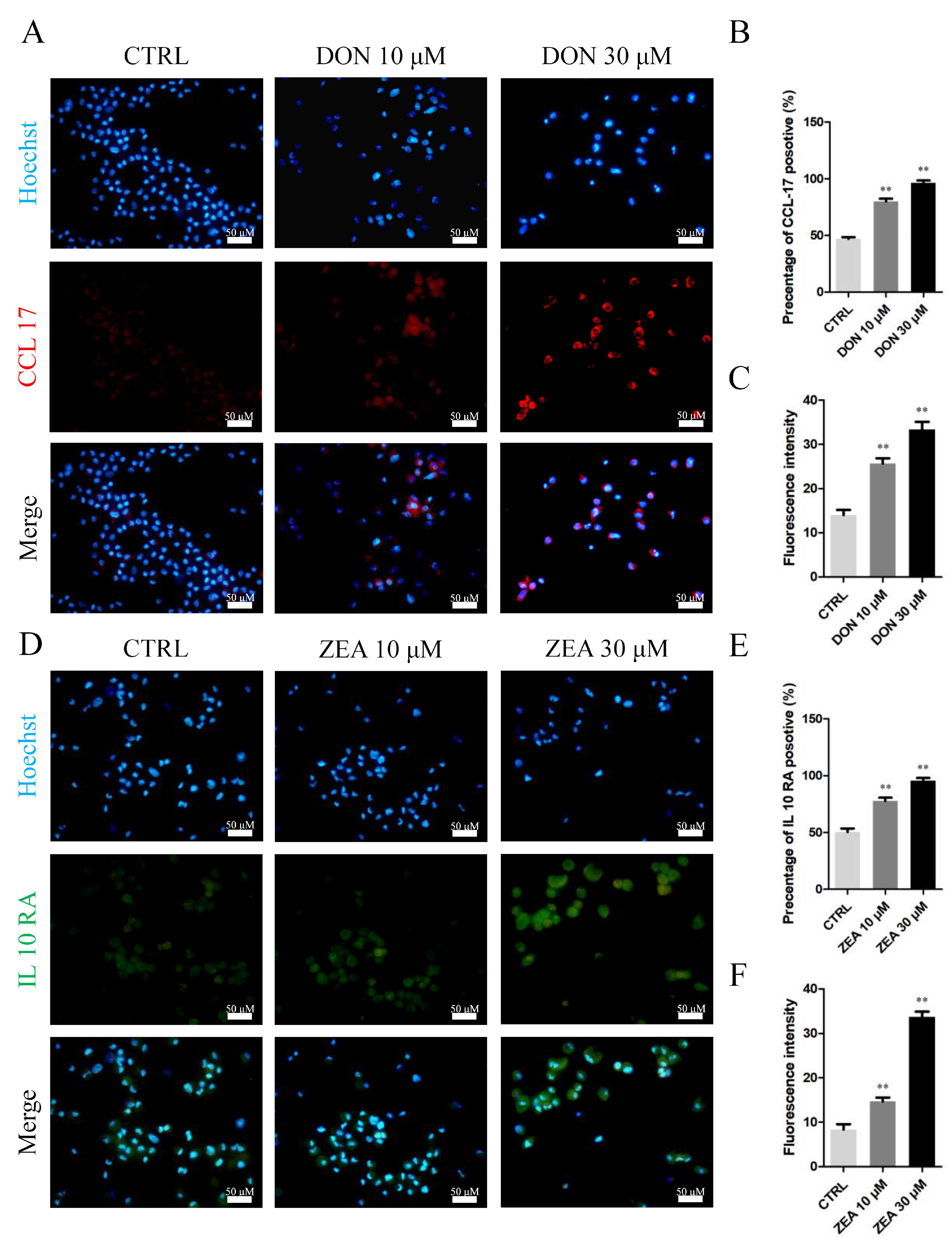 Cells 10 01898 g008 Cells 10 01898 g008