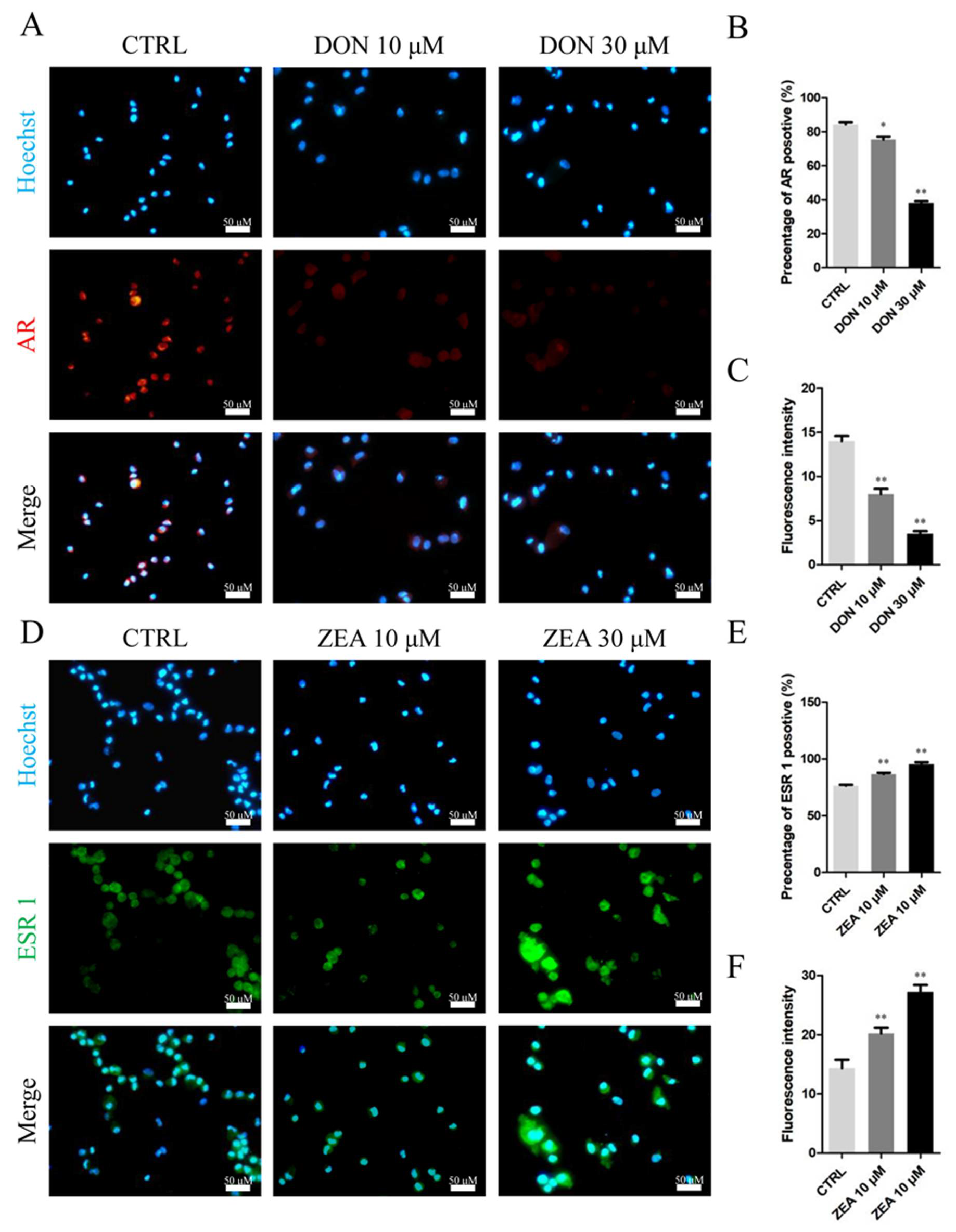 Cells 10 01898 g010 Cells 10 01898 g010