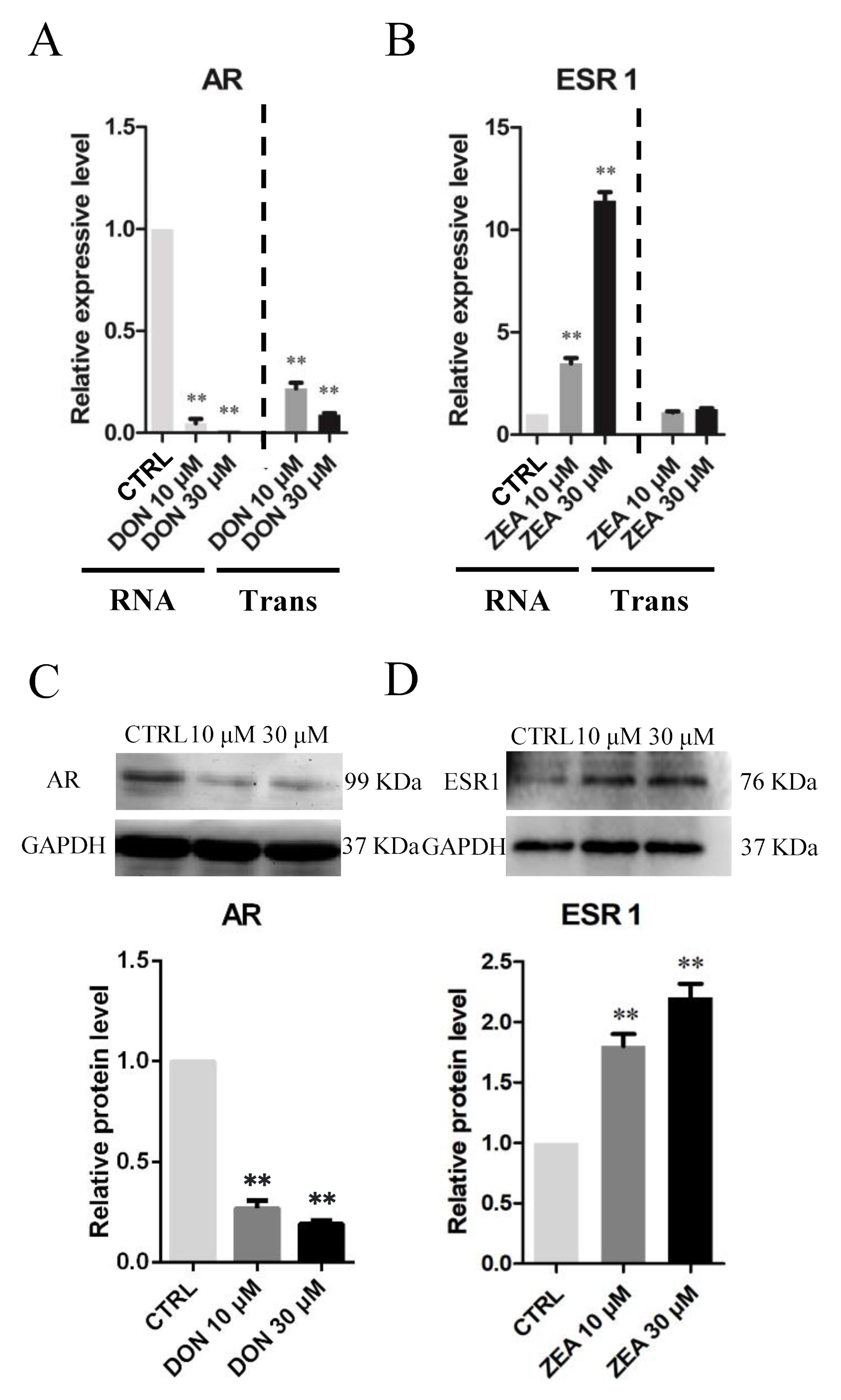 Cells 10 01898 g011 Cells 10 01898 g011