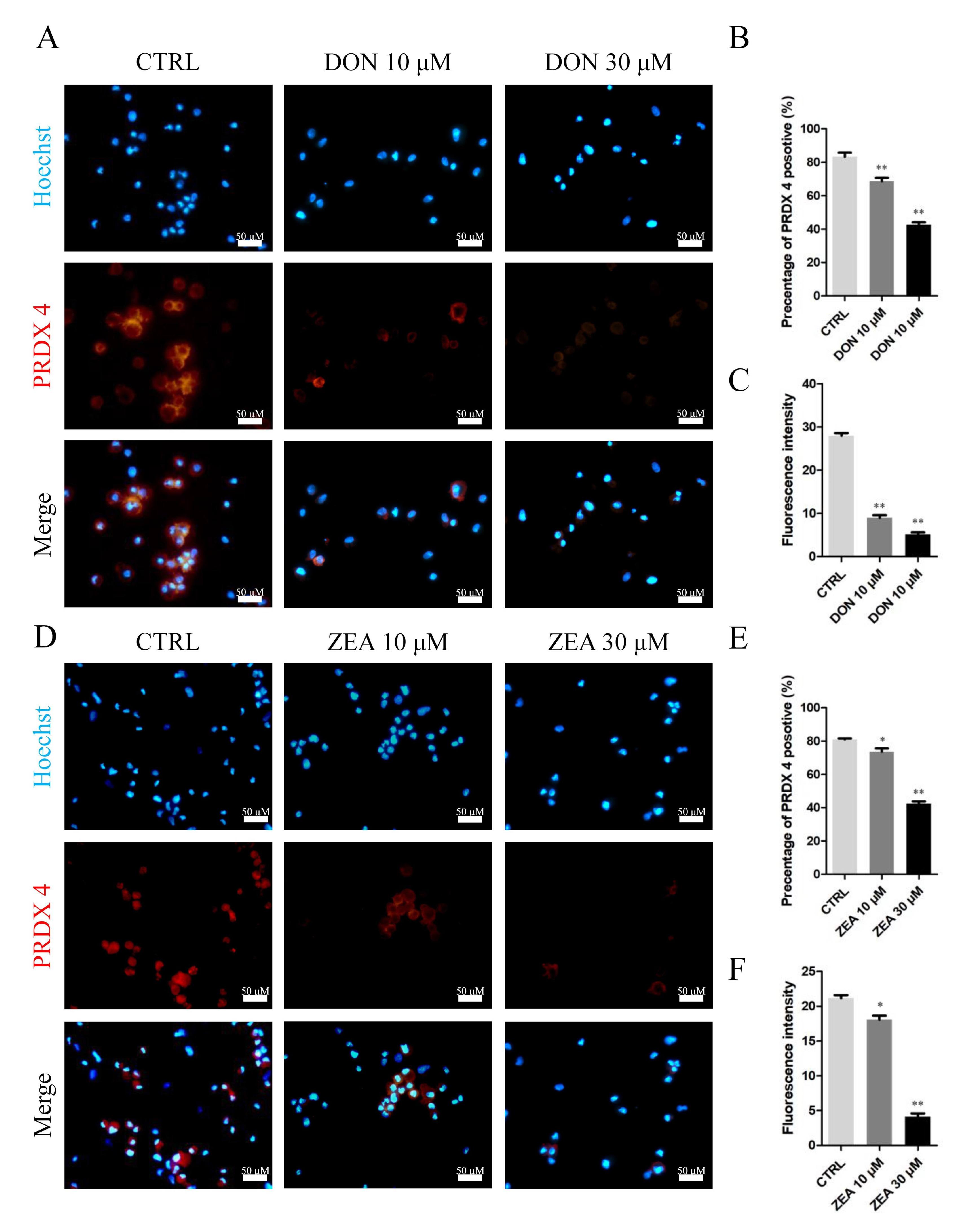 Cells 10 01898 g013 Cells 10 01898 g013