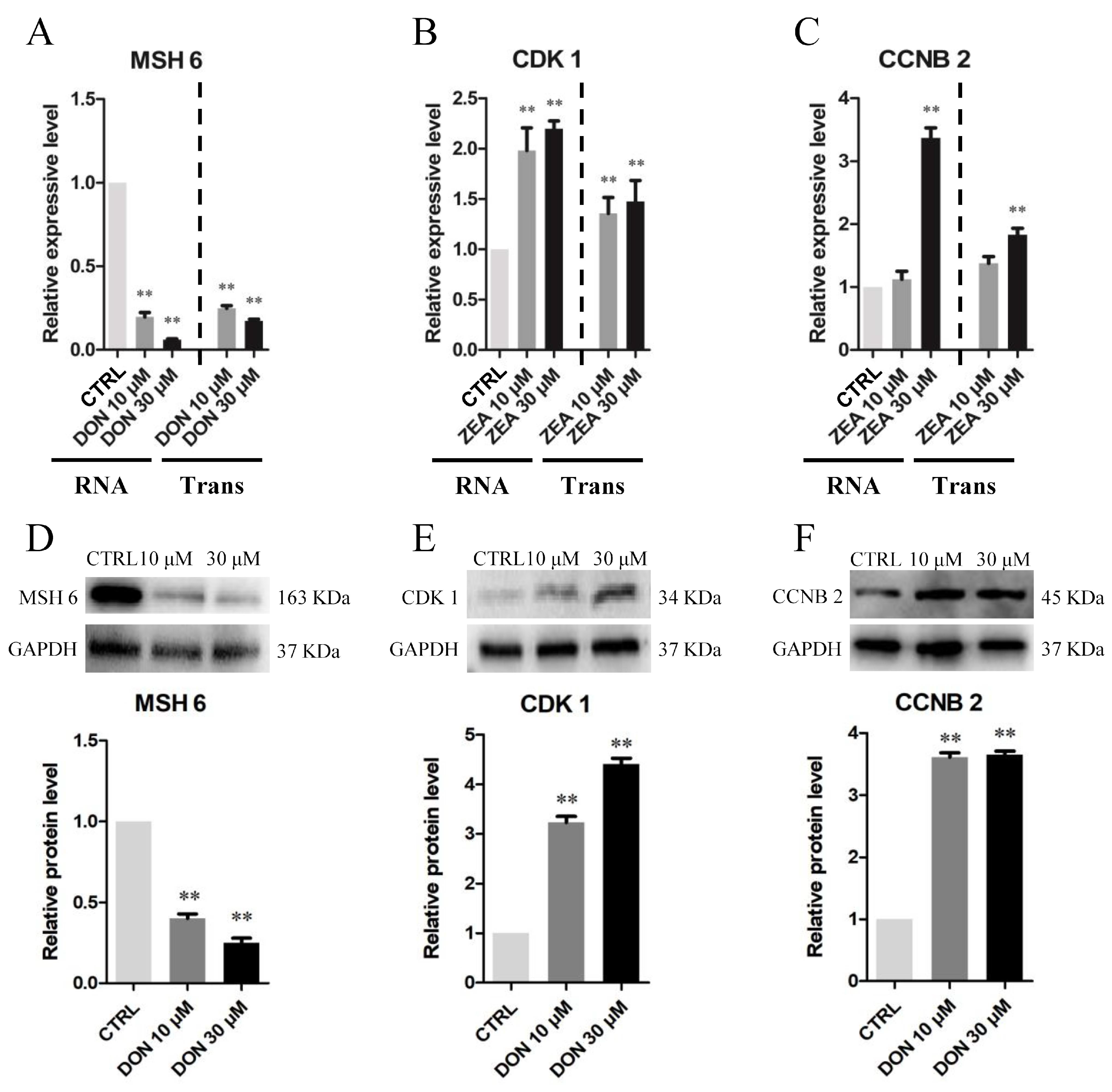 Cells 10 01898 g014 Cells 10 01898 g014