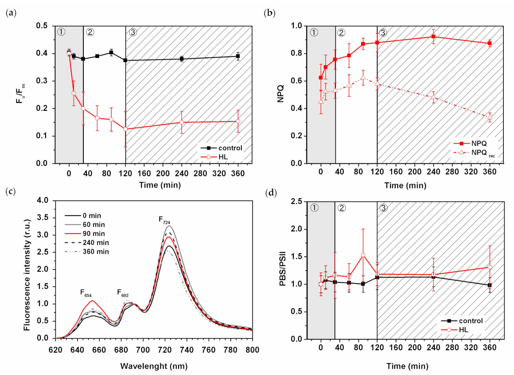 Cells 10 01916 g004 Cells 10 01916 g004
