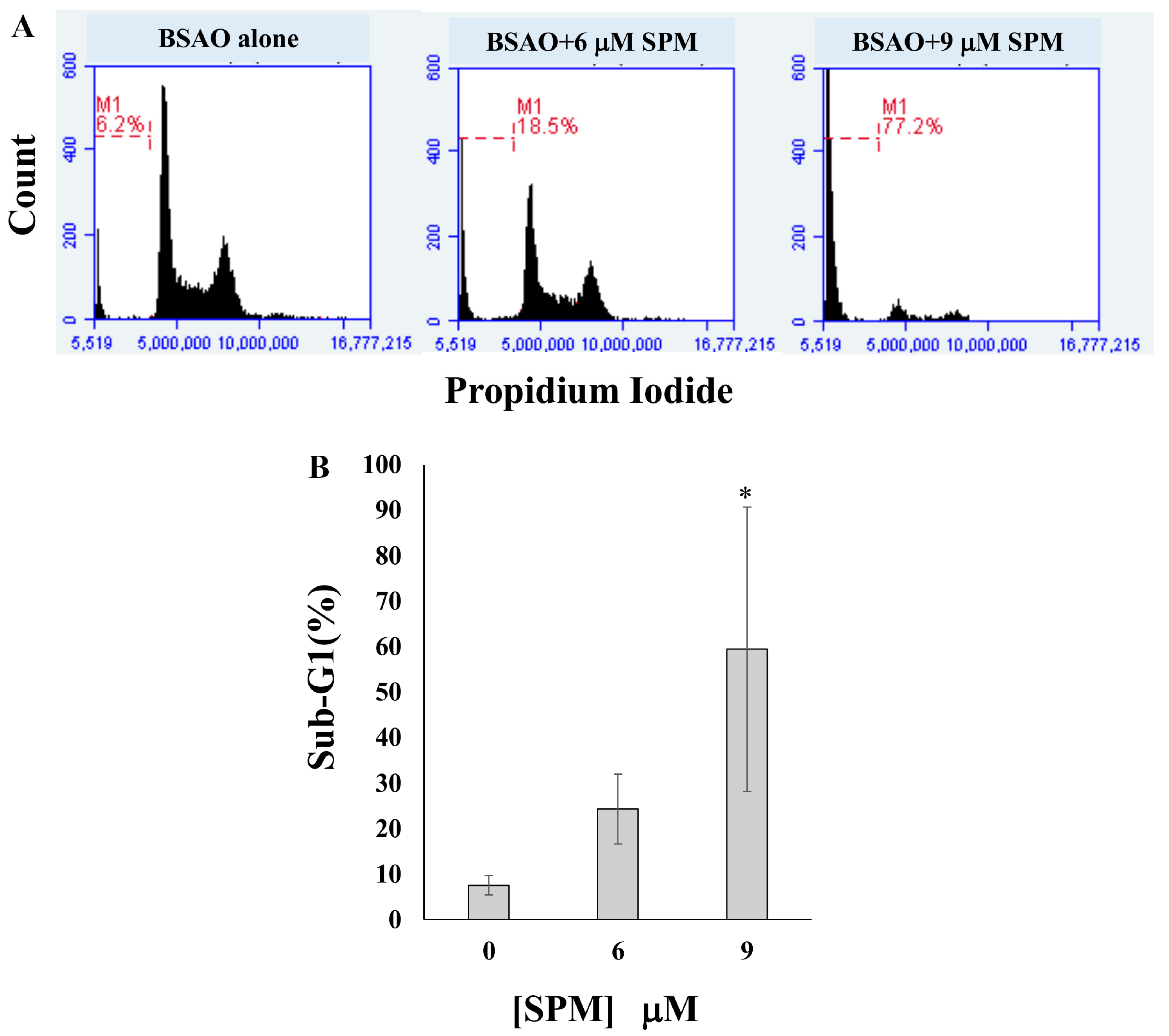 Cells | Free Full-Text | Enzymatic Spermine Metabolites Induce Apoptosis  Associated with Increase of p53, caspase-3 and miR-34a in Both  Neuroblastoma Cells, SJNKP and the N-Myc-Amplified Form IMR5 | HTML