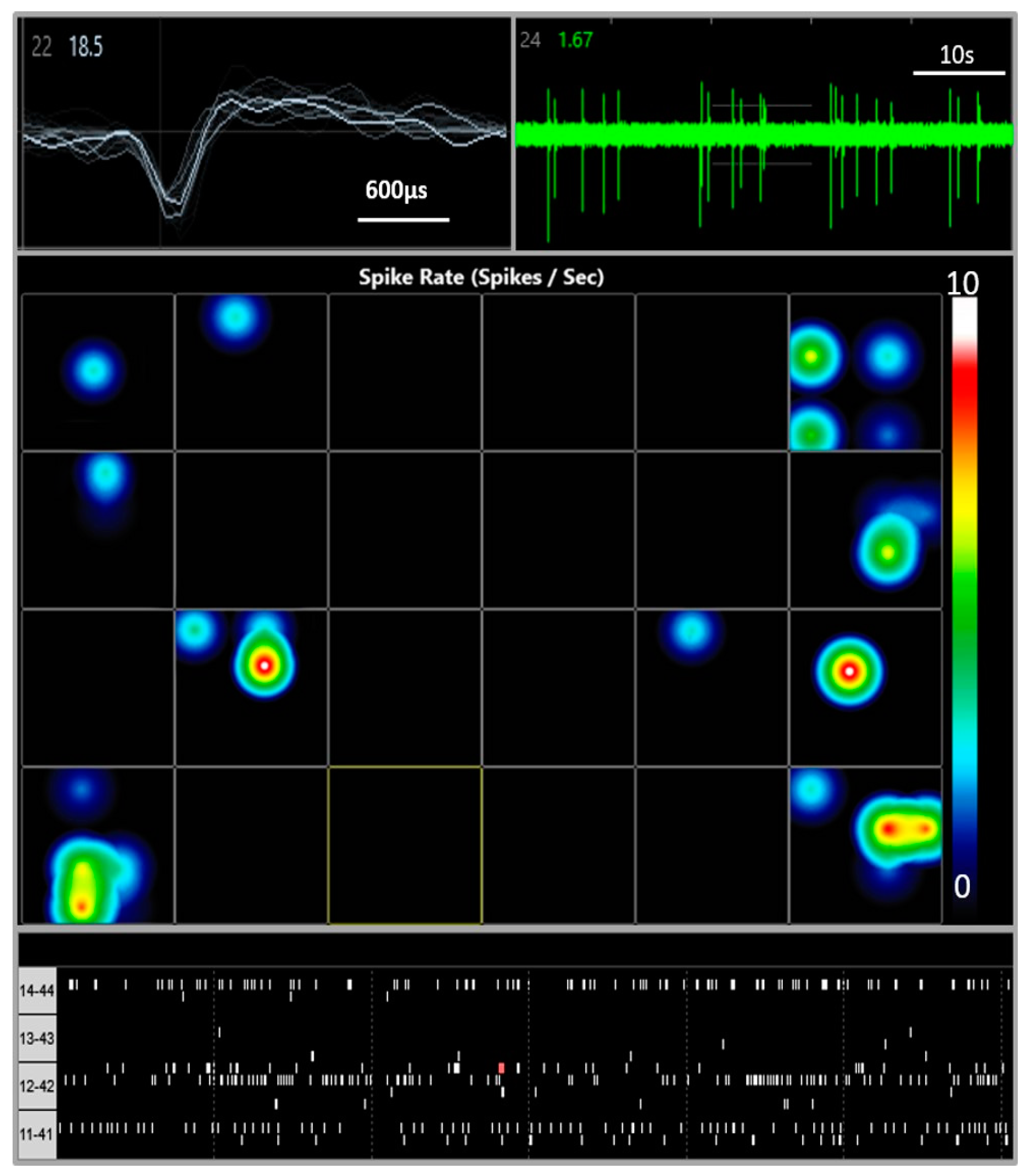 Cells 10 01953 g002 Cells 10 01953 g002
