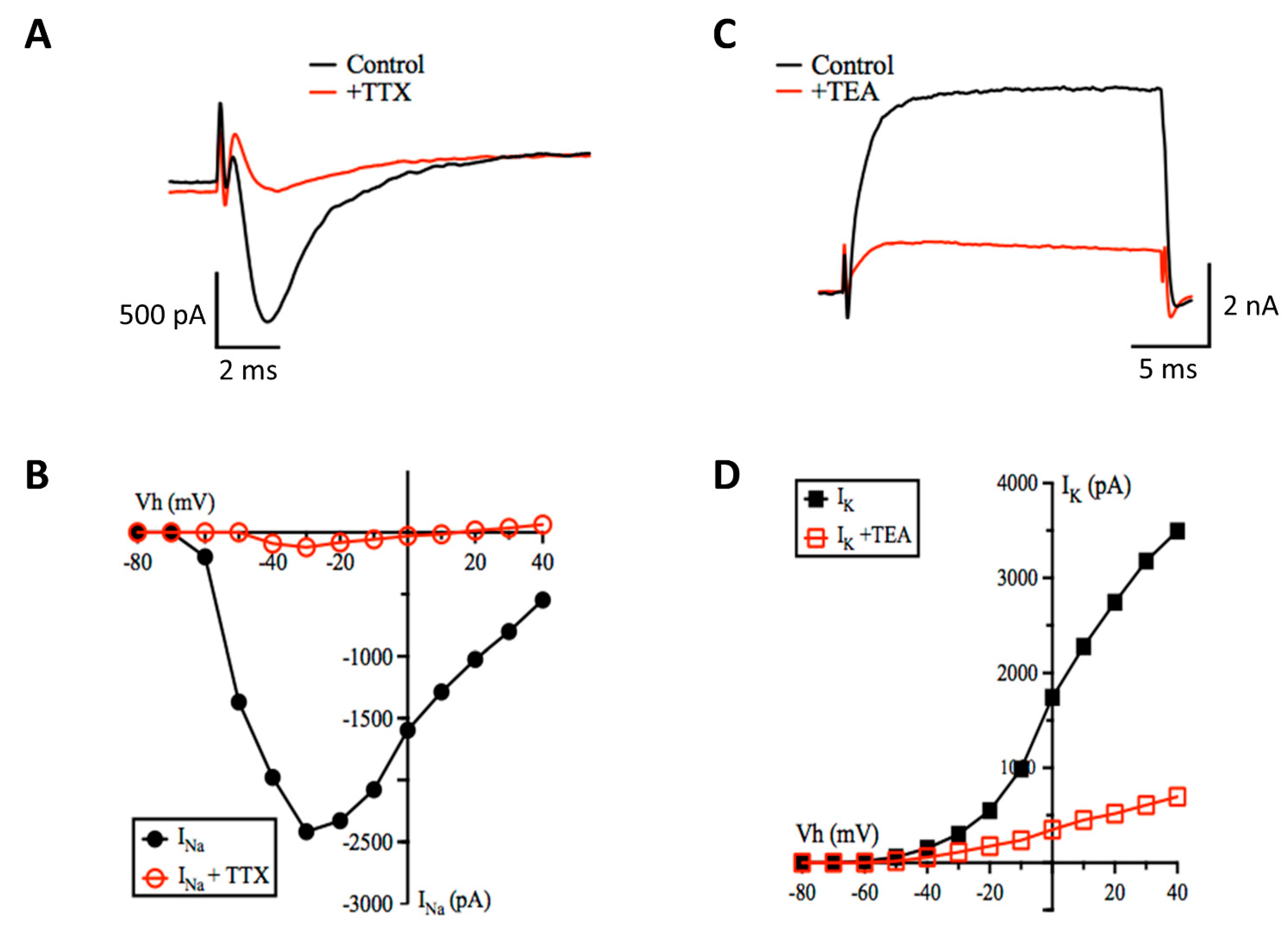 Cells 10 01953 g005 Cells 10 01953 g005
