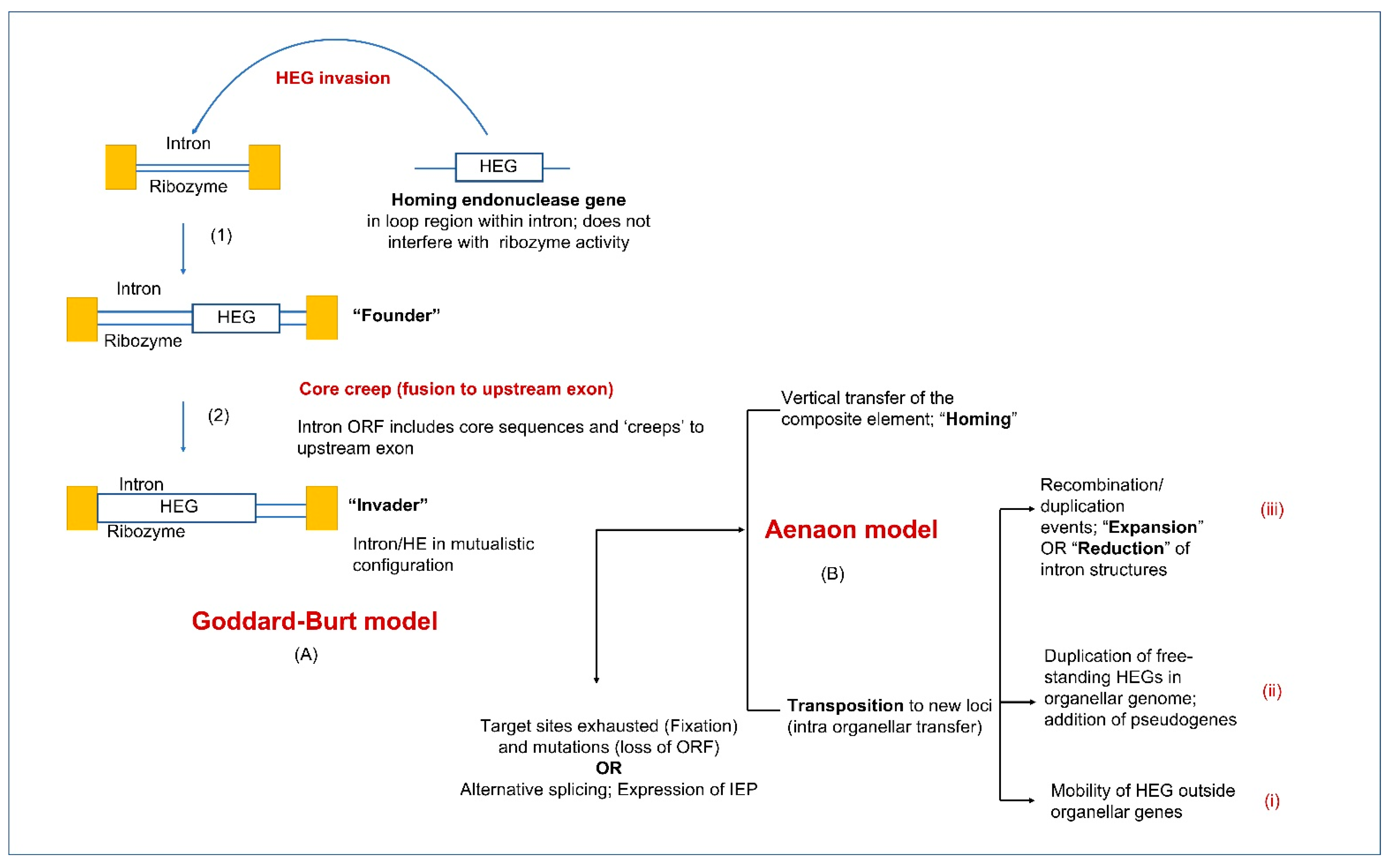 Cells 10 02001 g007 Cells 10 02001 g007