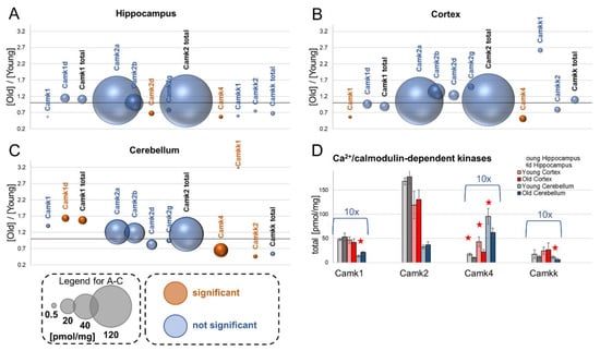 Comparative Hippocampal Proteome and Phosphoproteome in a Niemann