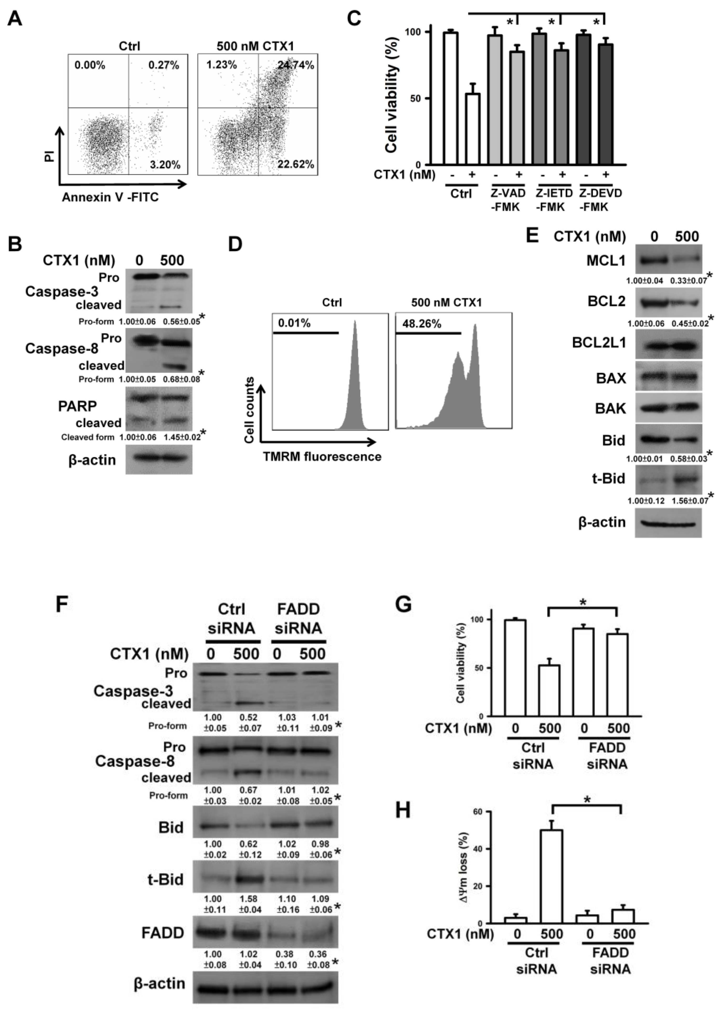Cells 10 02073 g002 Cells 10 02073 g002