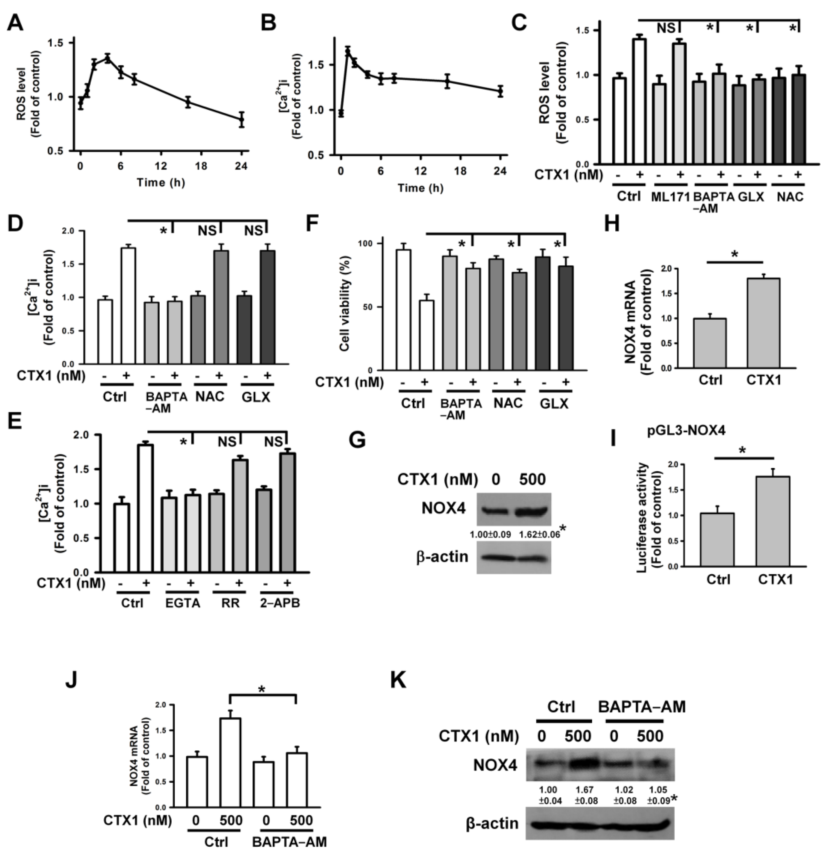 Cells 10 02073 g003 Cells 10 02073 g003