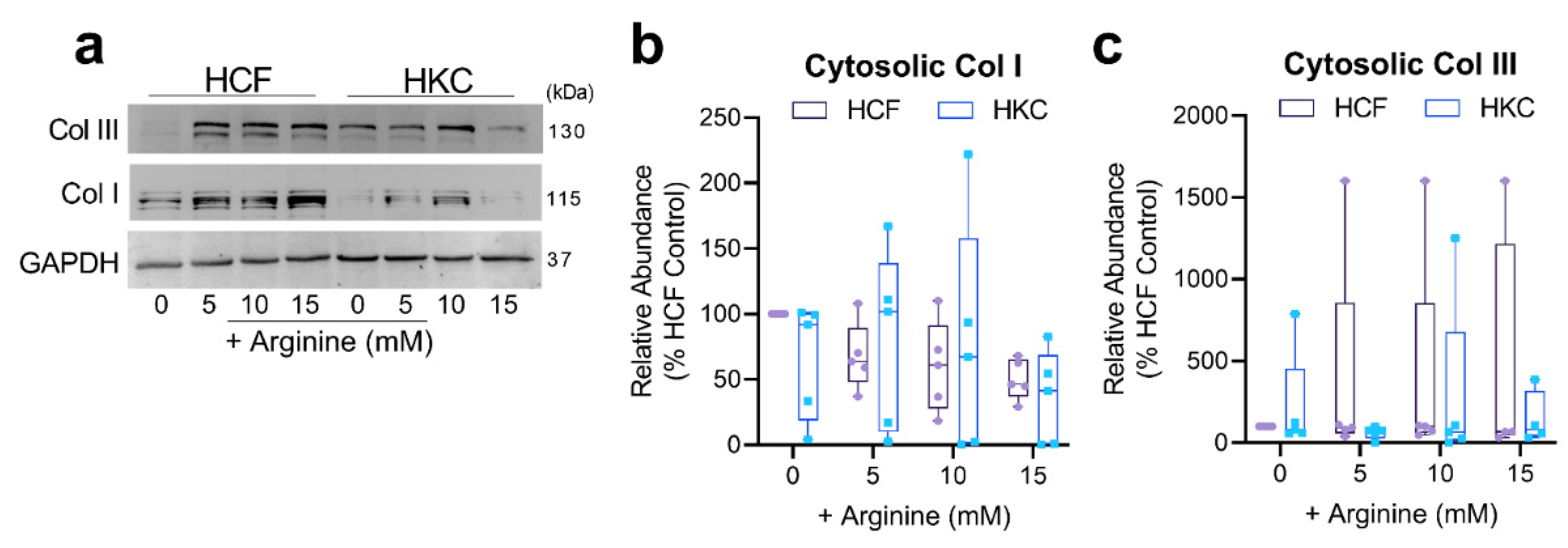 Cells 10 02076 g006 Cells 10 02076 g006