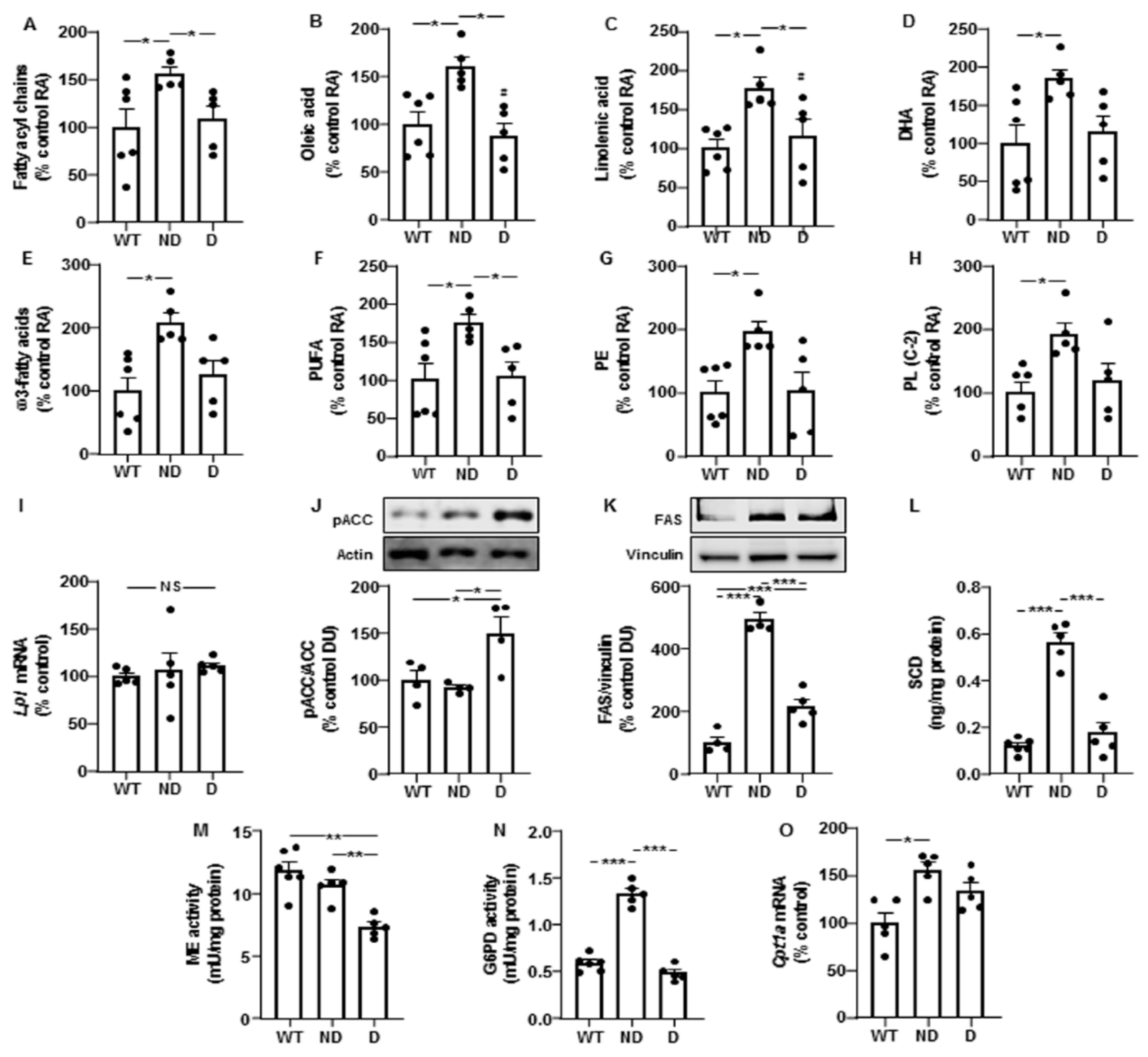Cells 10 02085 g002 Cells 10 02085 g002