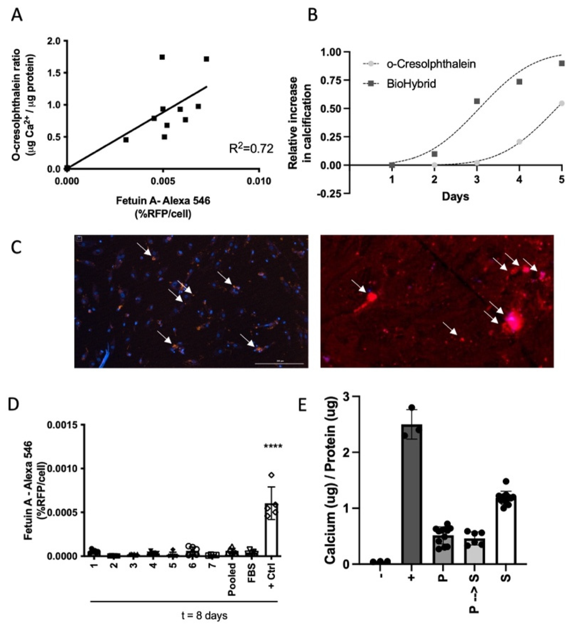 Cells 10 02097 g001 Cells 10 02097 g001