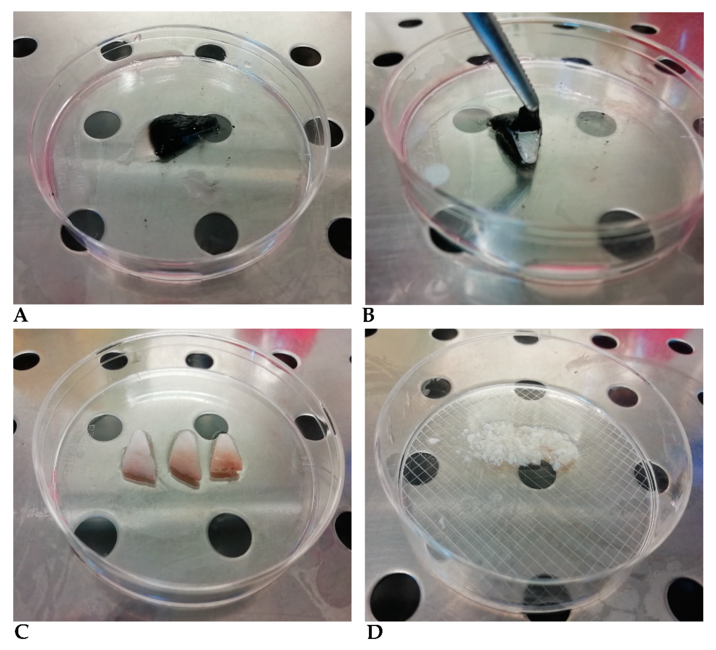 Cells 10 02100 g002 Cells 10 02100 g002