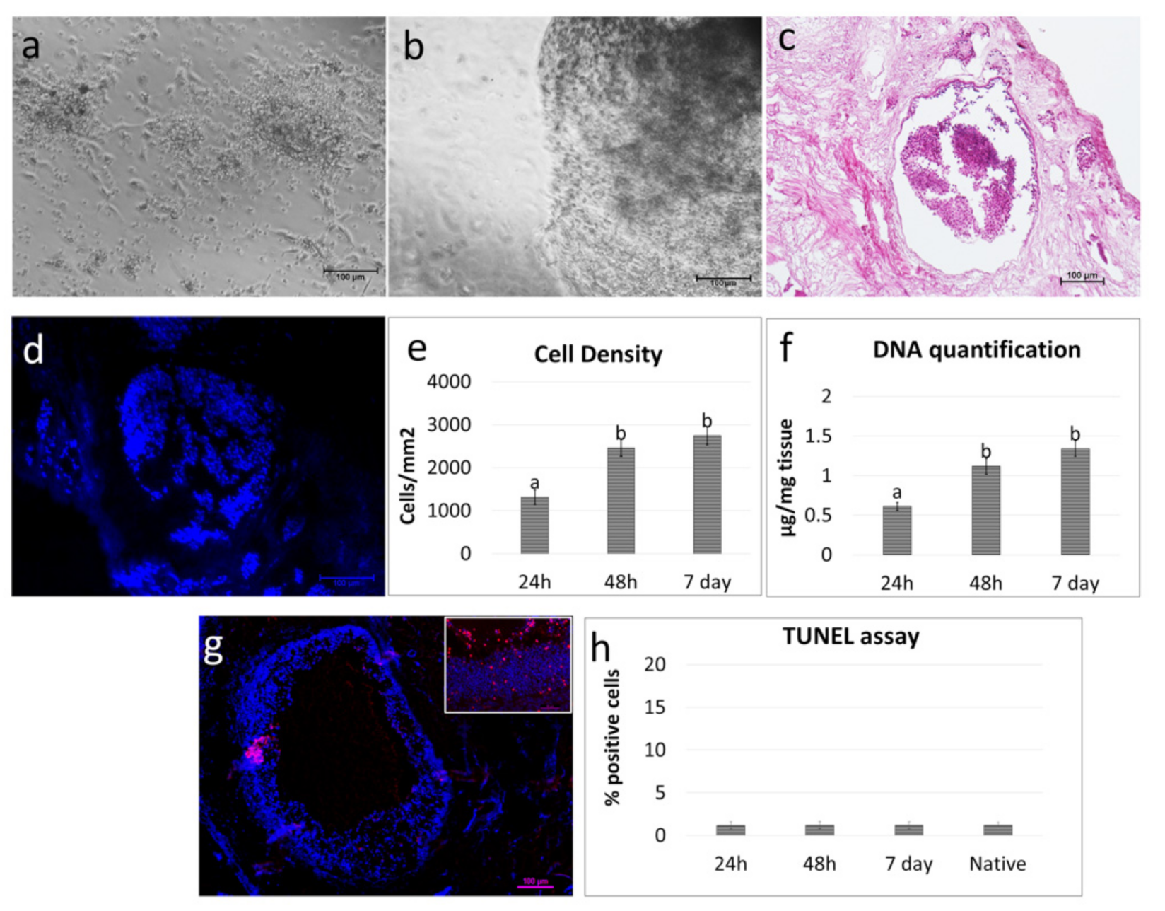 Cells 10 02126 g004