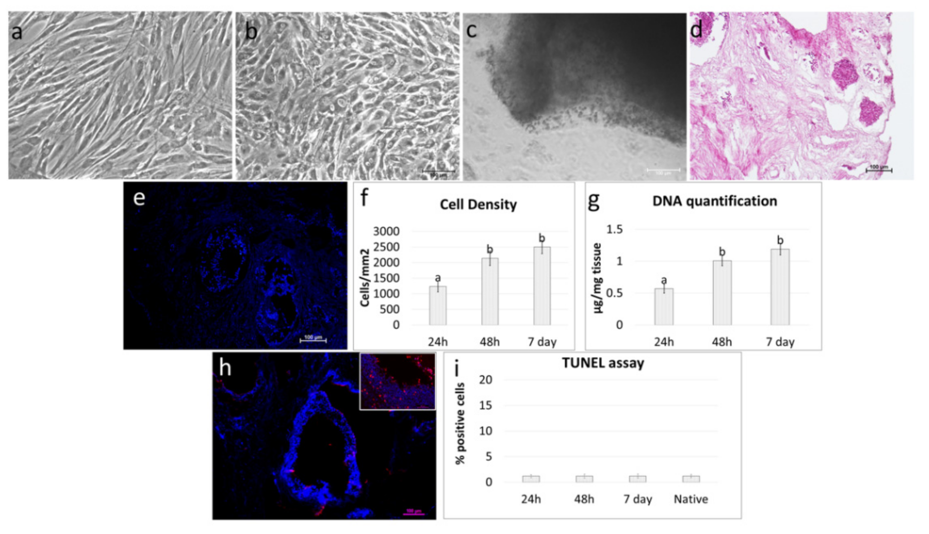 Cells 10 02126 g006