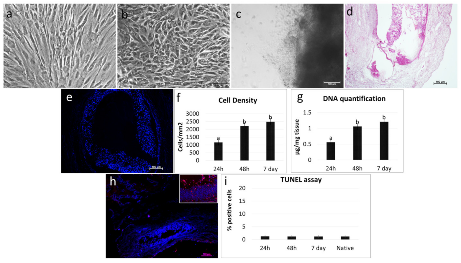 Cells 10 02126 g007