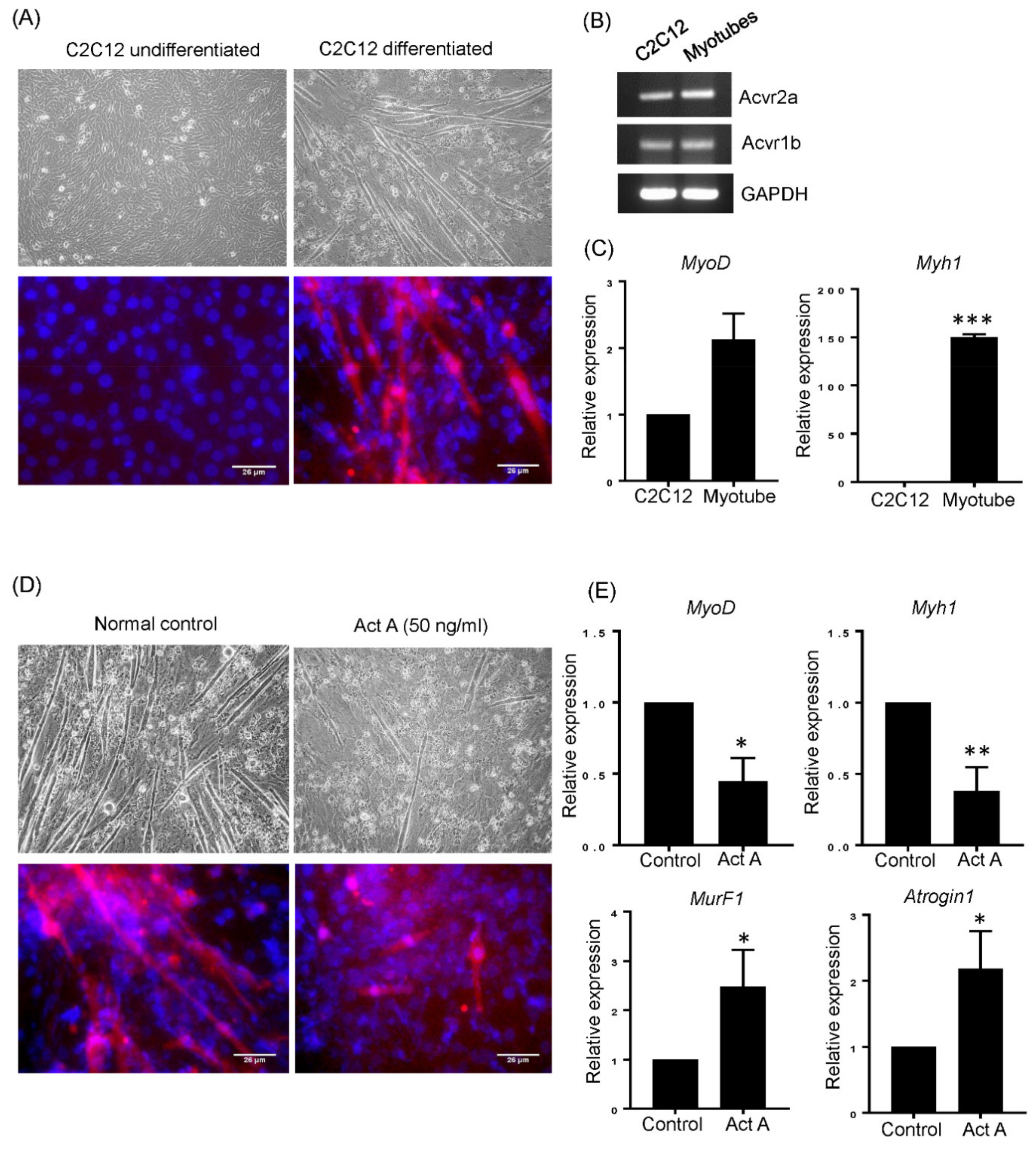Cells 10 02169 g002