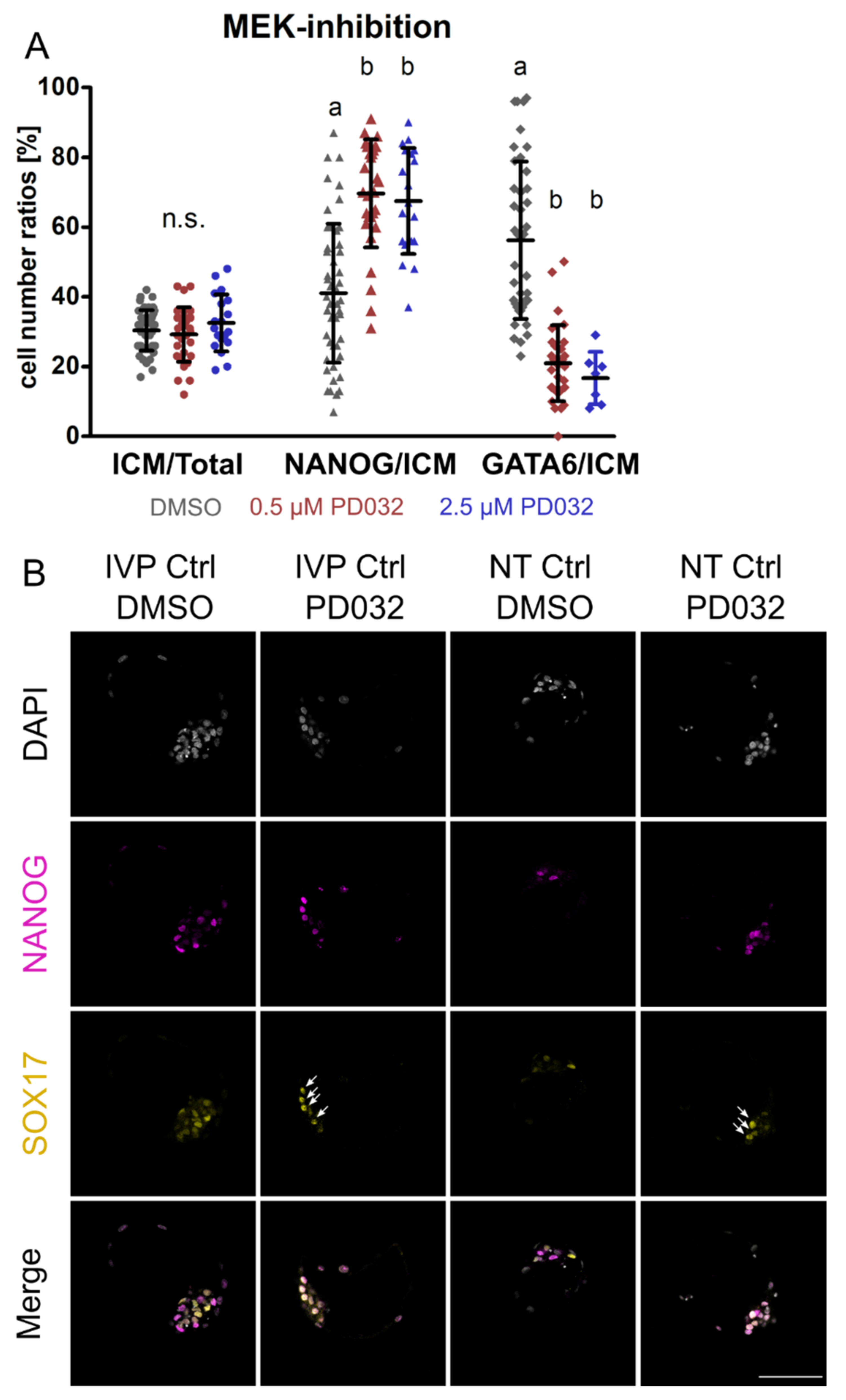 Cells 10 02232 g002 Cells 10 02232 g002