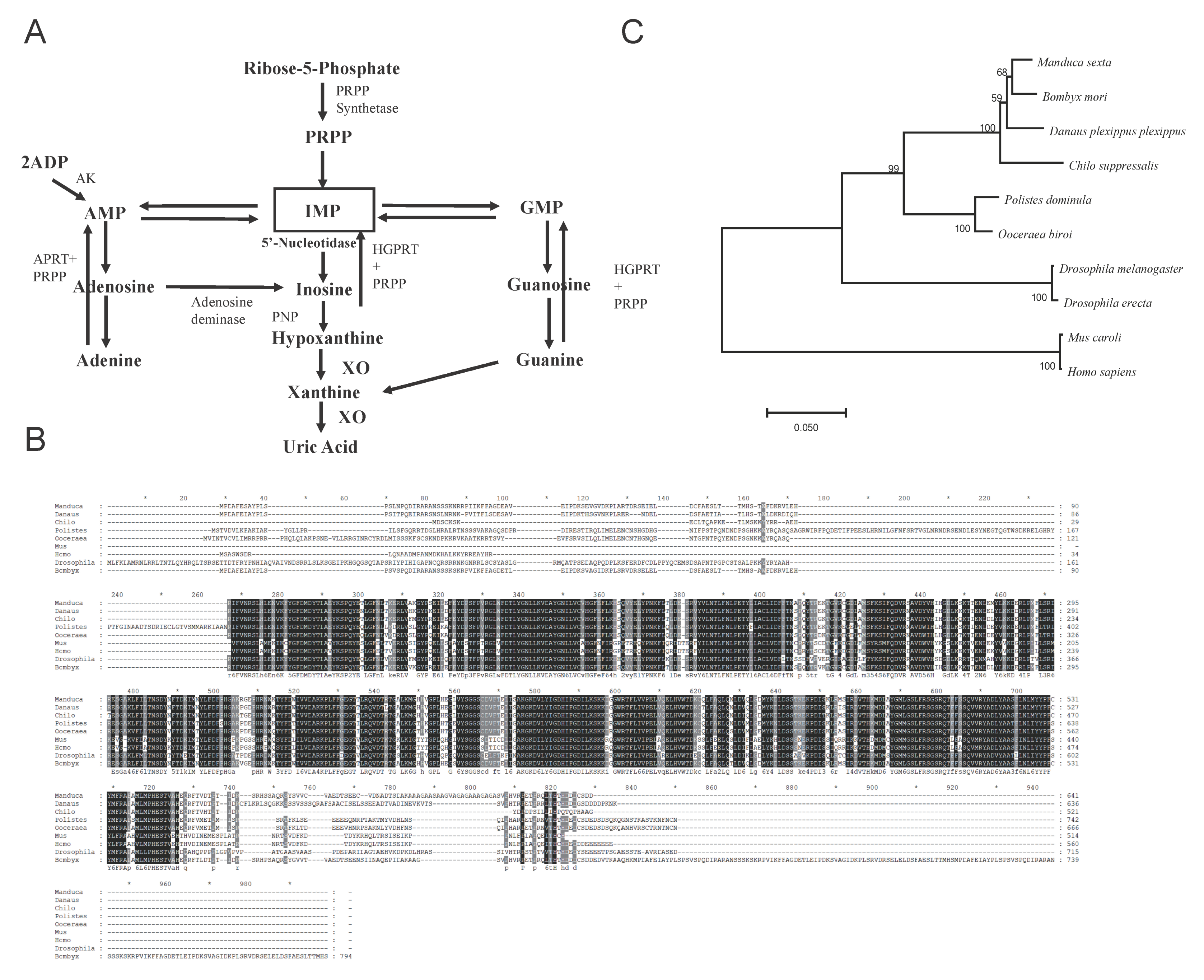Cells 10 02243 g001 Cells 10 02243 g001
