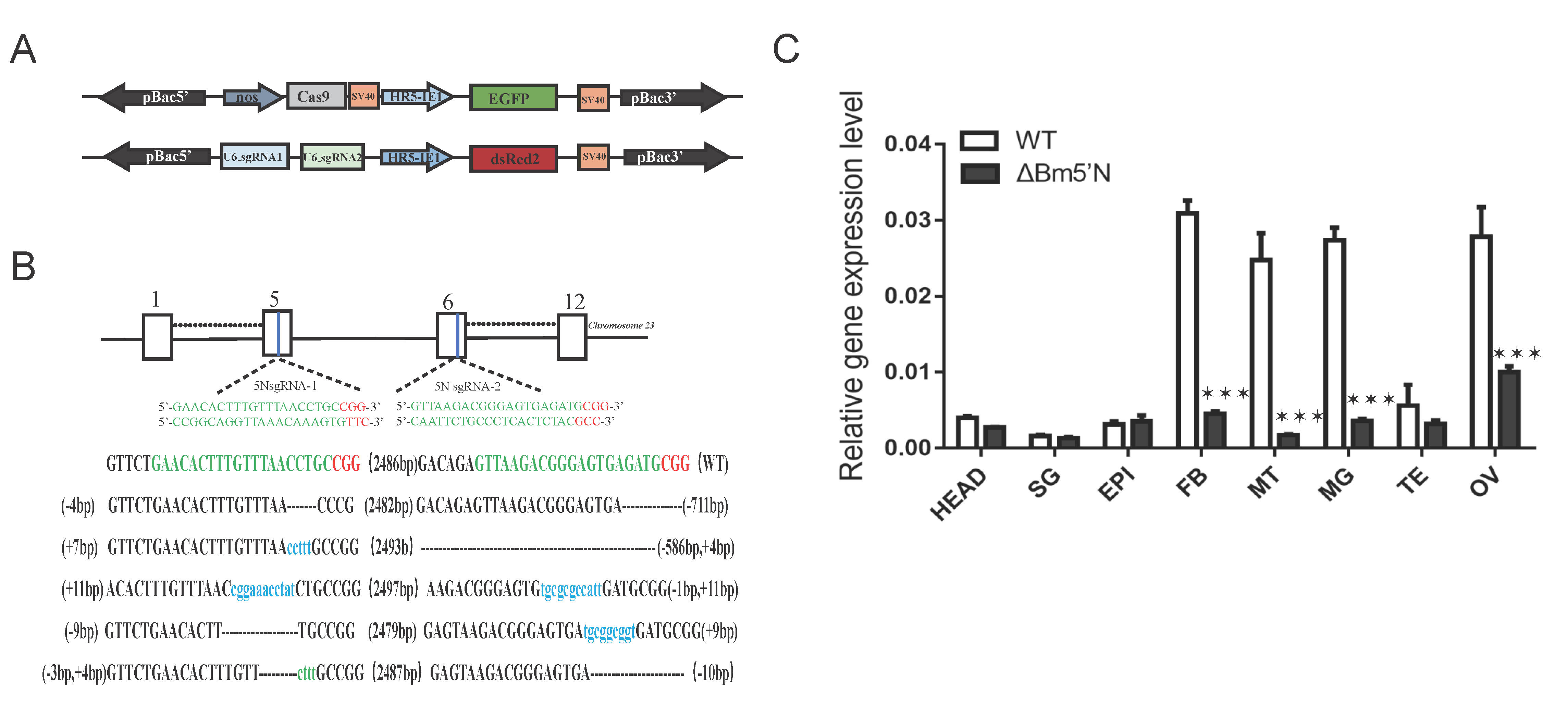 Cells 10 02243 g002 Cells 10 02243 g002