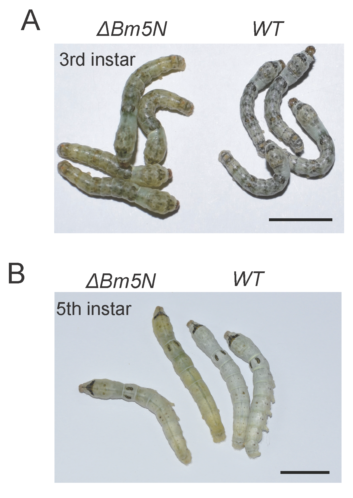 Cells 10 02243 g003 Cells 10 02243 g003