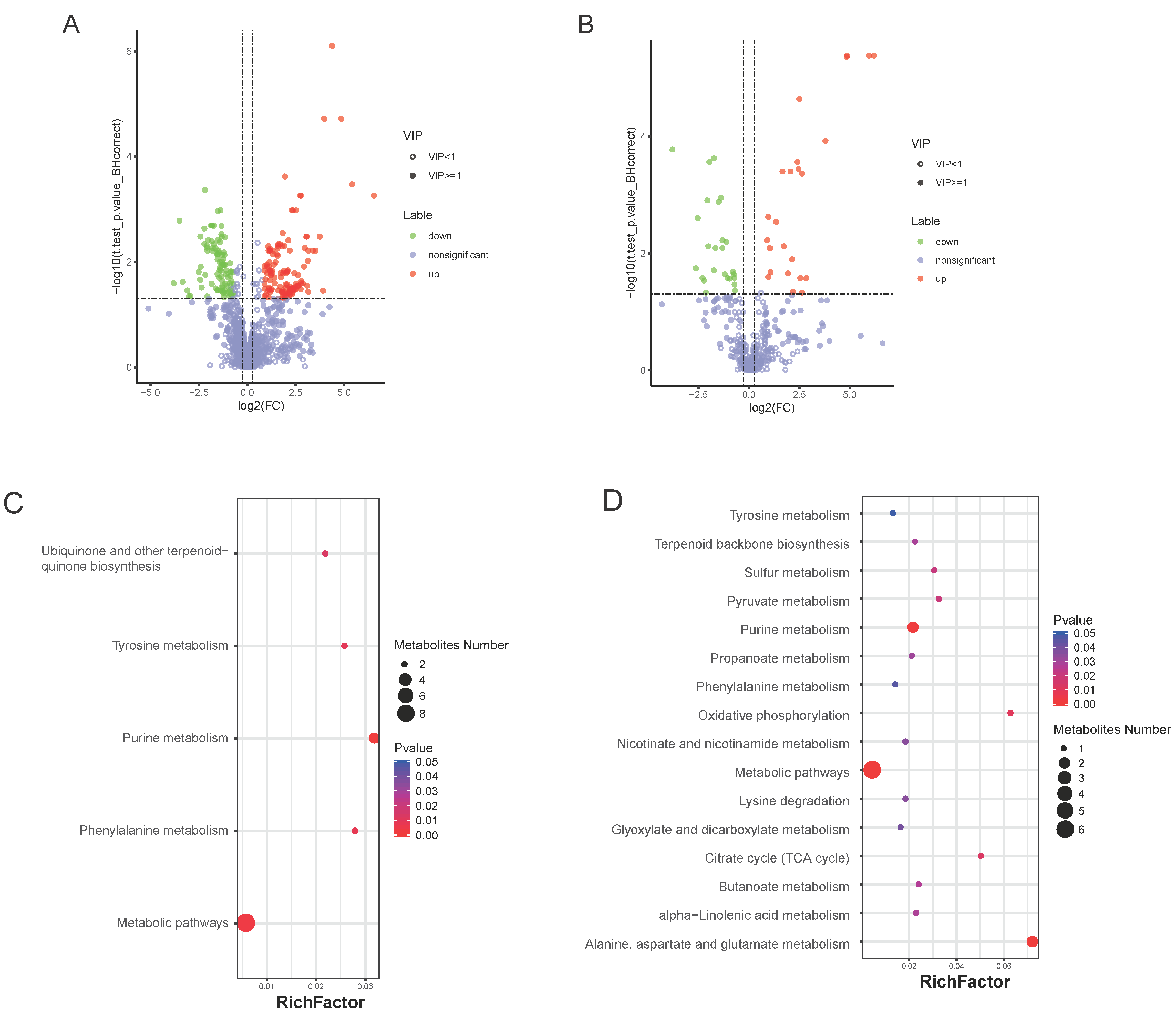 Cells 10 02243 g005 Cells 10 02243 g005