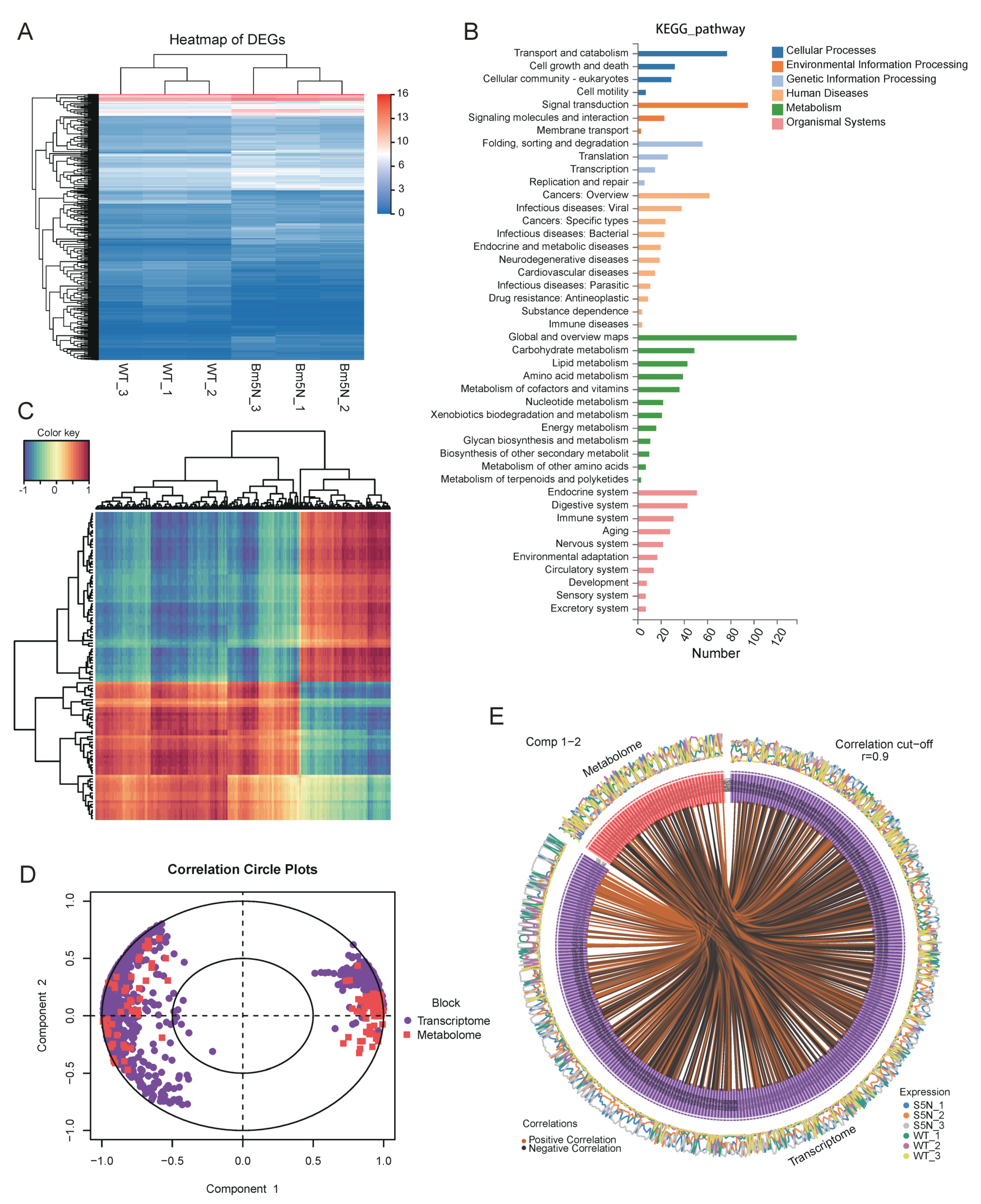 Cells 10 02243 g006 Cells 10 02243 g006