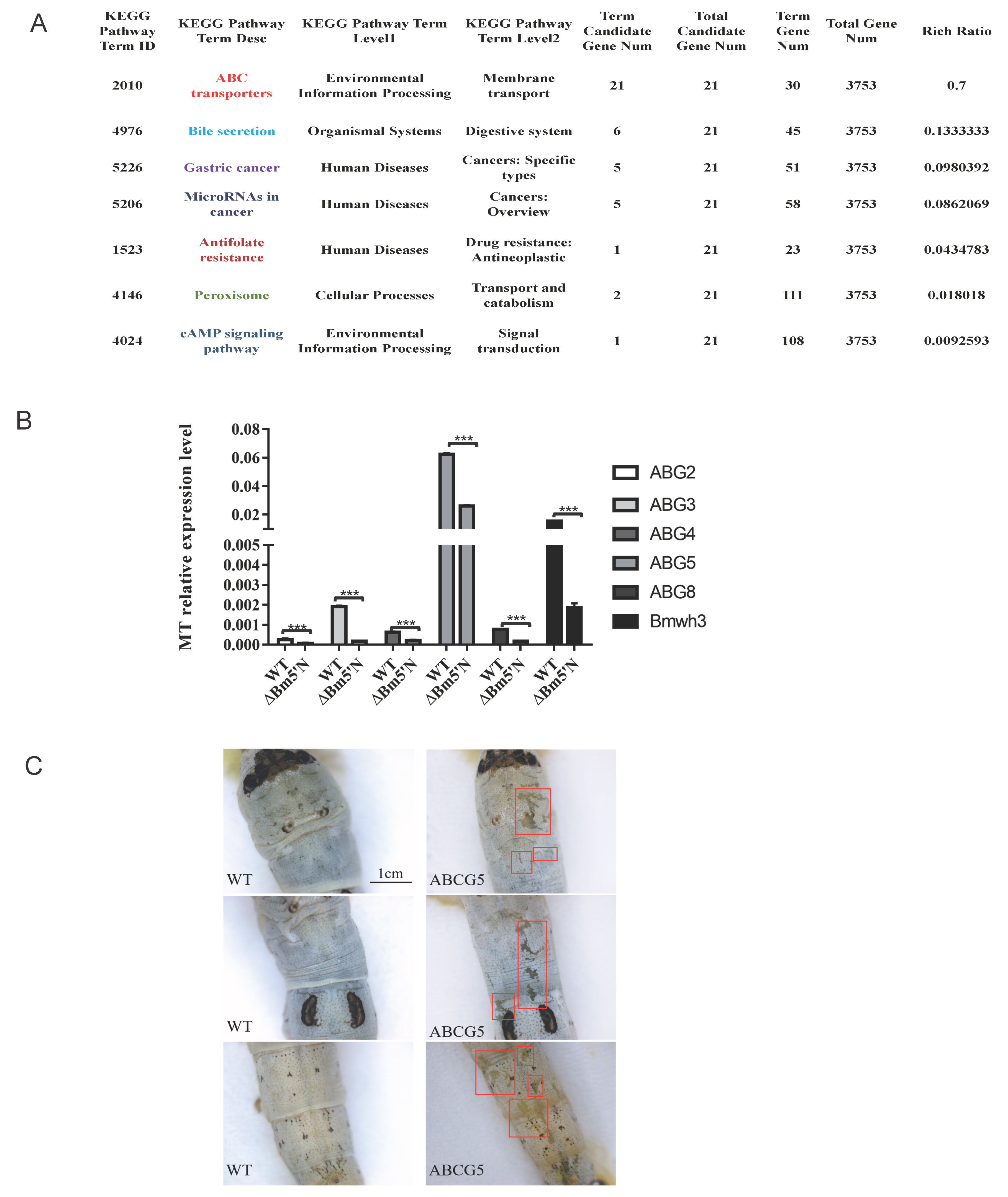 Cells 10 02243 g007 Cells 10 02243 g007