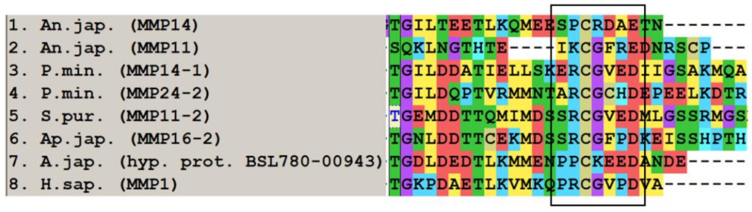 Cells 10 02331 g002 Cells 10 02331 g002
