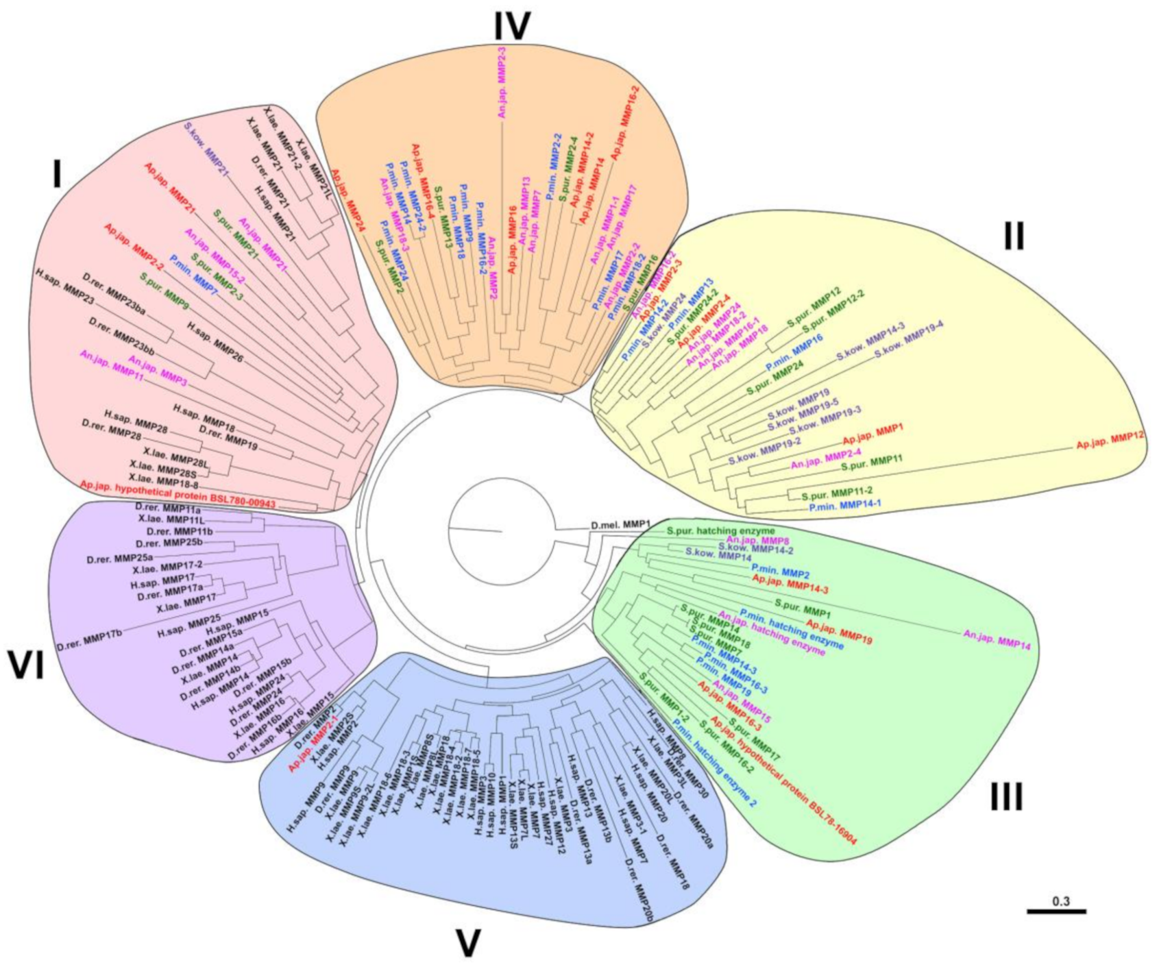 Cells 10 02331 g005 Cells 10 02331 g005