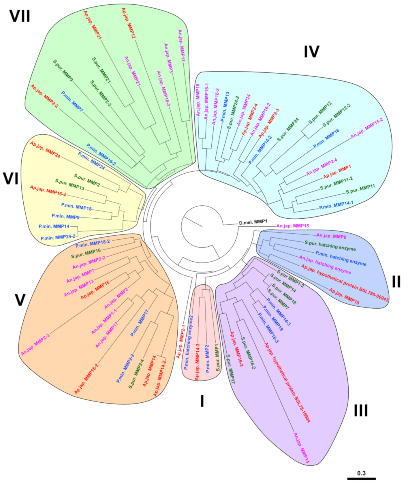Cells 10 02331 g006 Cells 10 02331 g006