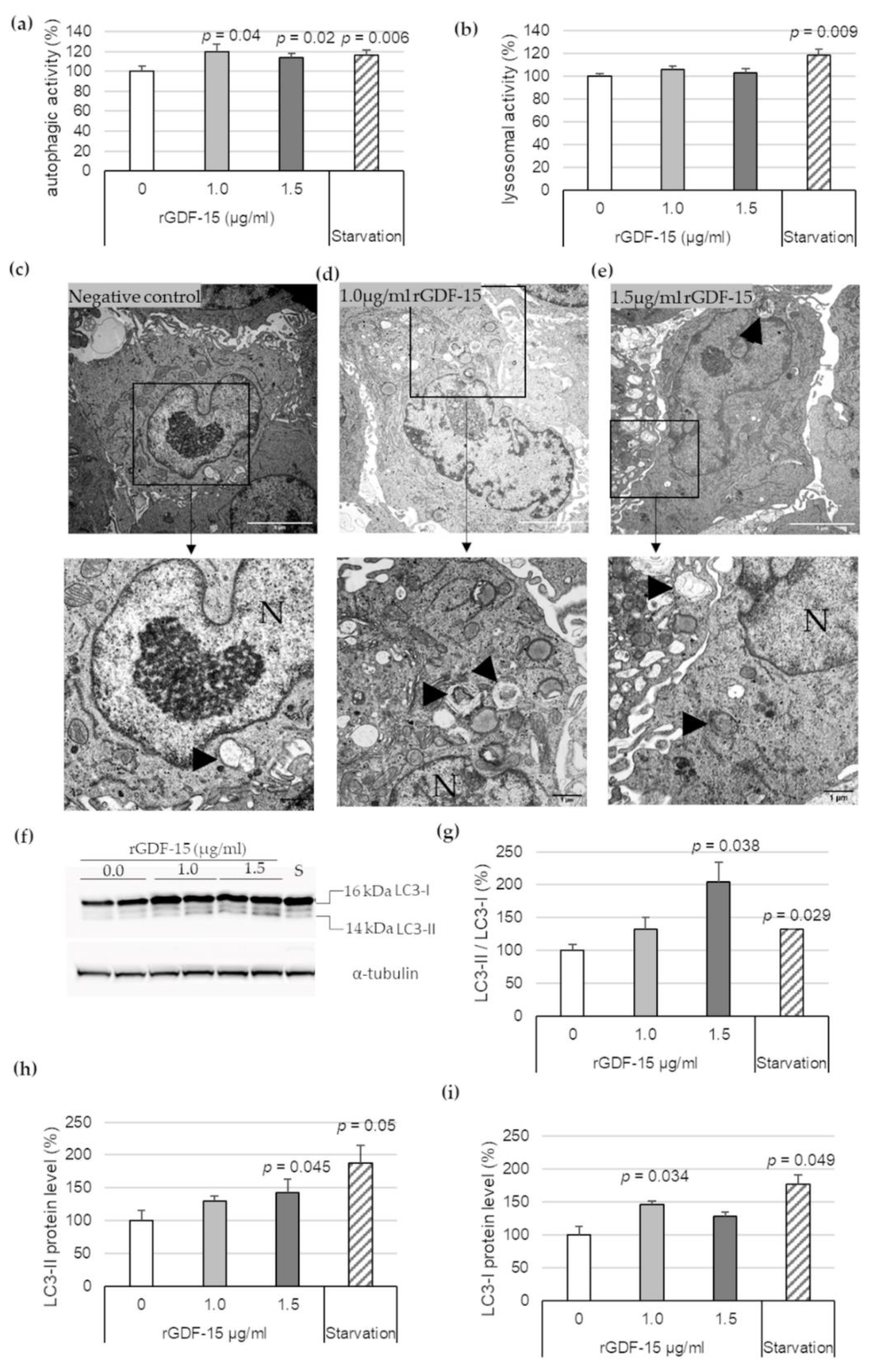 Cells 10 02346 g002