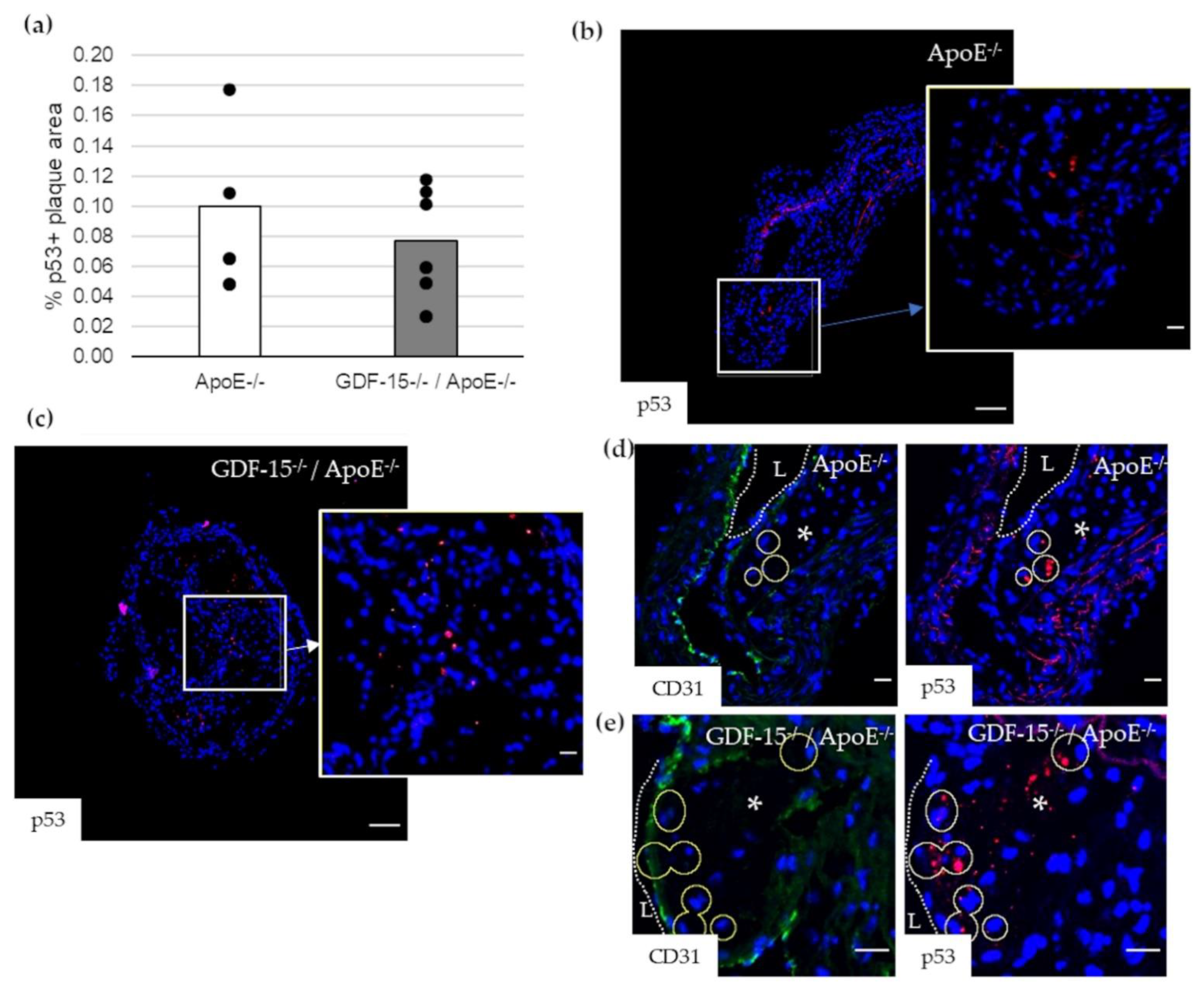 Cells 10 02346 g007