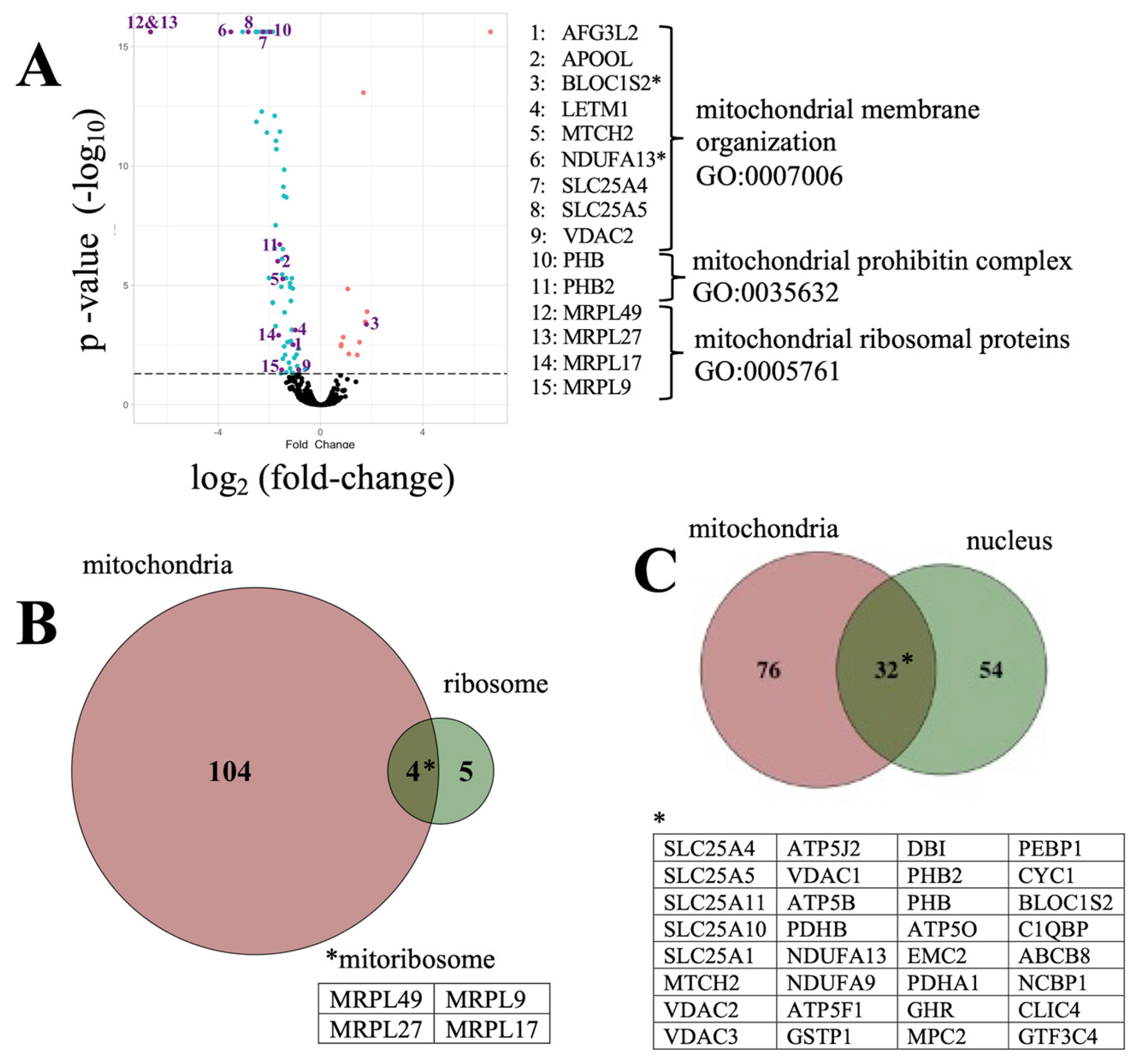 Cells 10 02380 g005 Cells 10 02380 g005