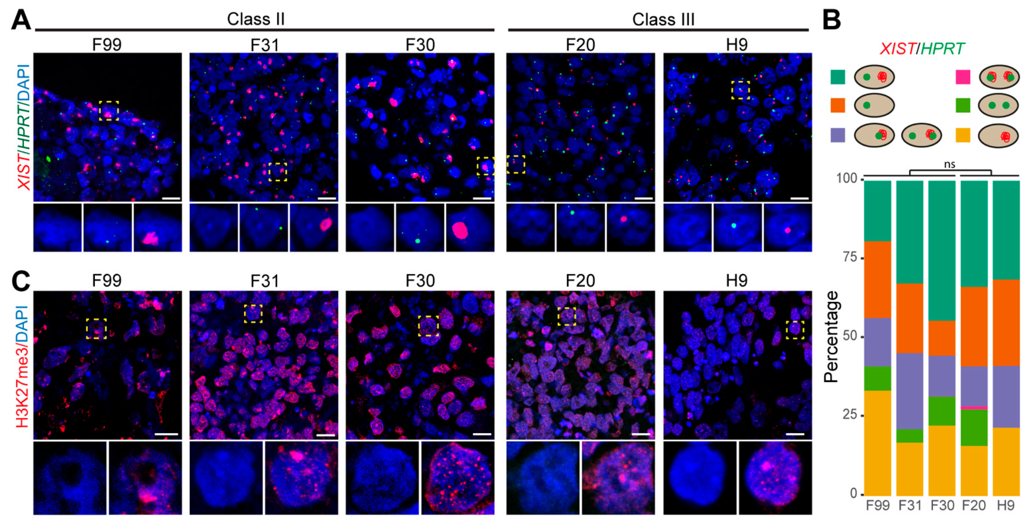 Cells 10 02400 g004 Cells 10 02400 g004