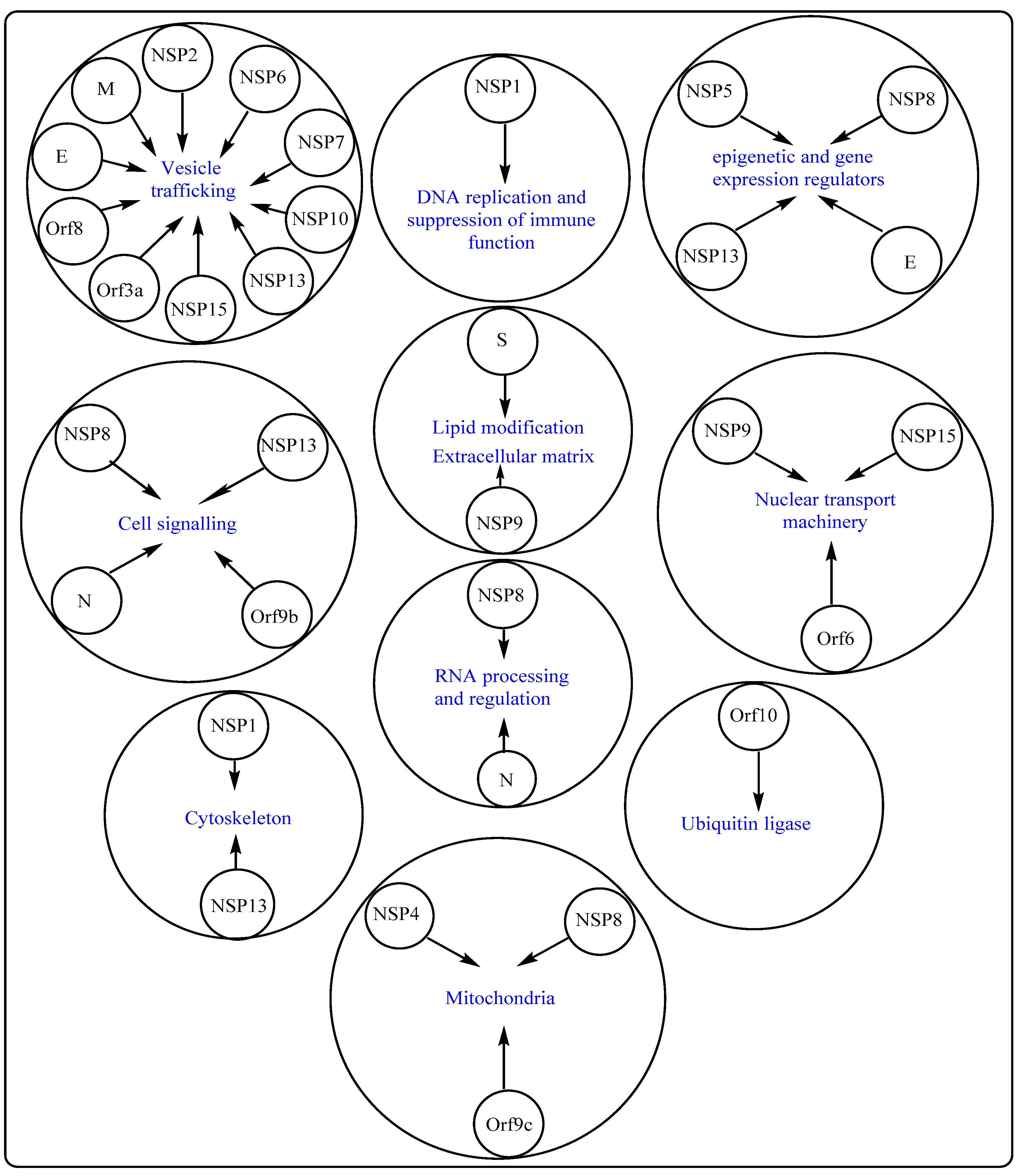 Cells 10 02427 g002