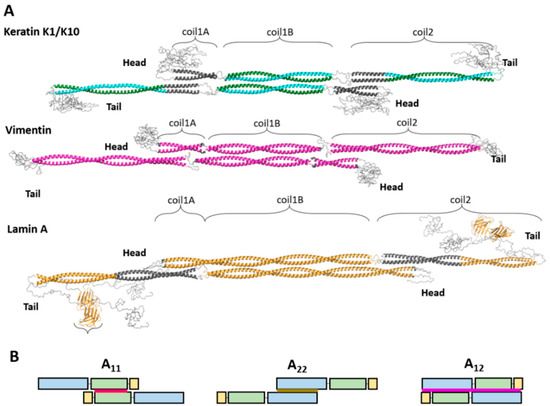 https://www.mdpi.com/cells/cells-10-02457/article_deploy/html/images/cells-10-02457-g001-550.jpg