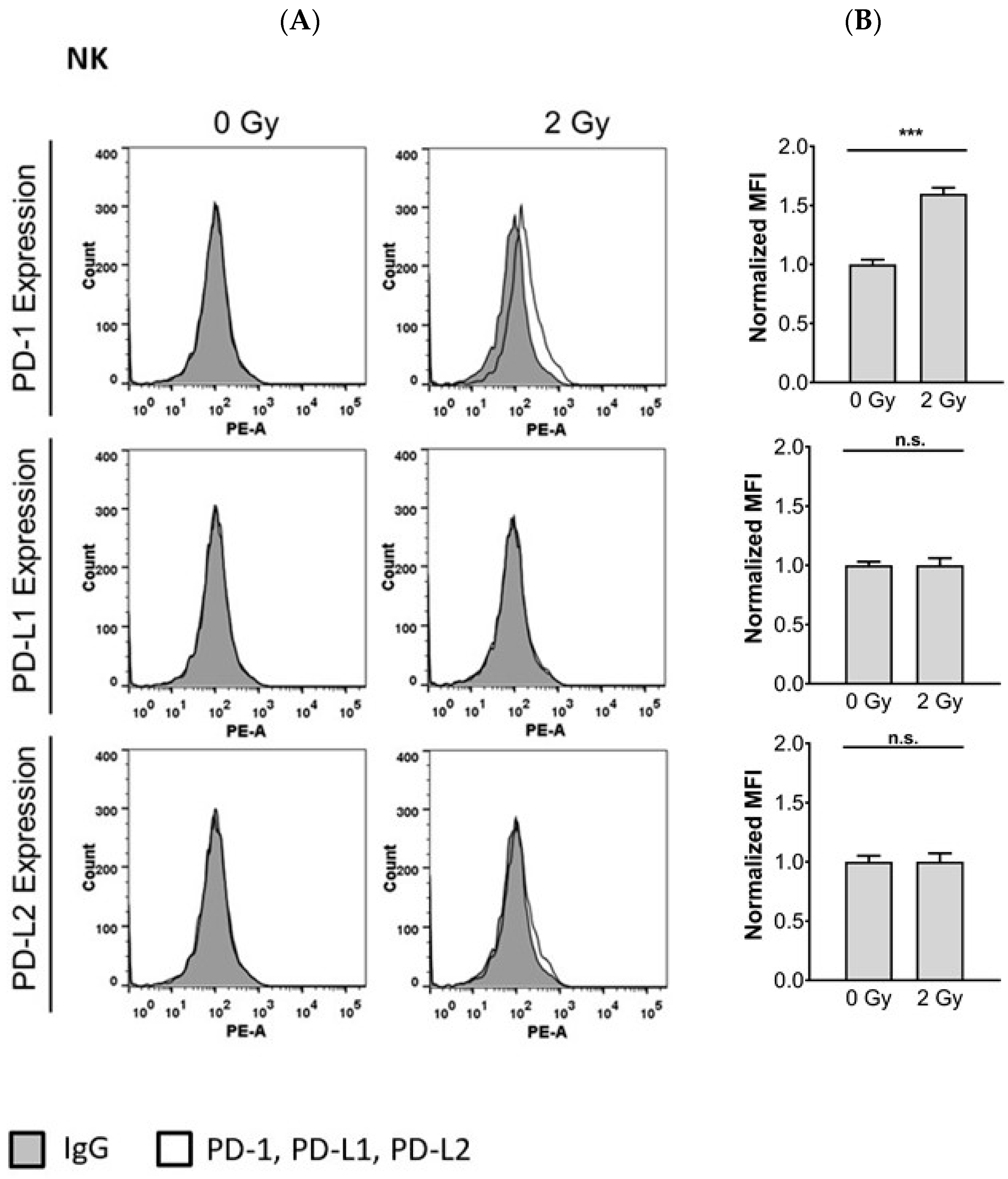 Cells 10 02458 g004 Cells 10 02458 g004