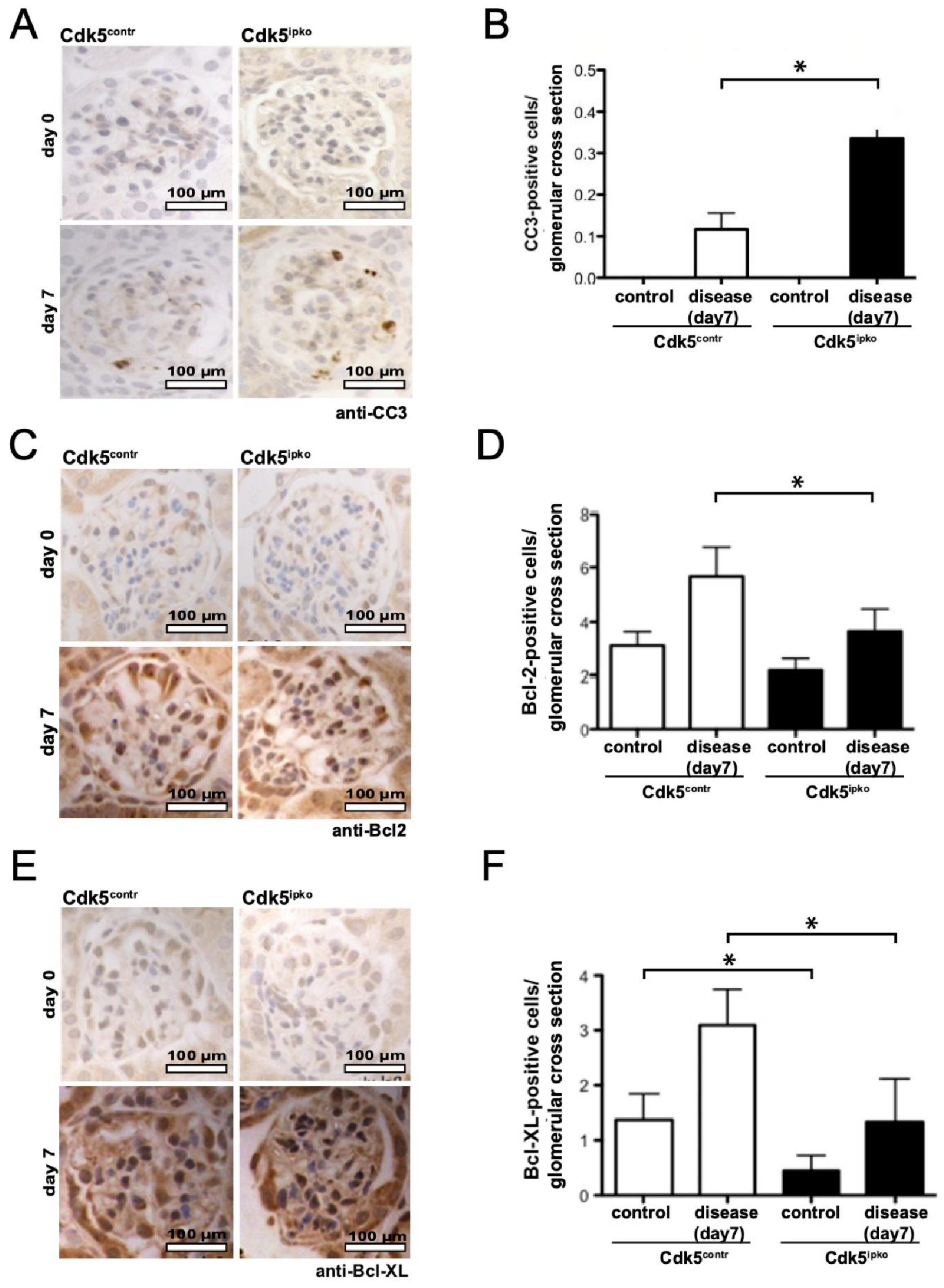 Cells 10 02464 g005 Cells 10 02464 g005