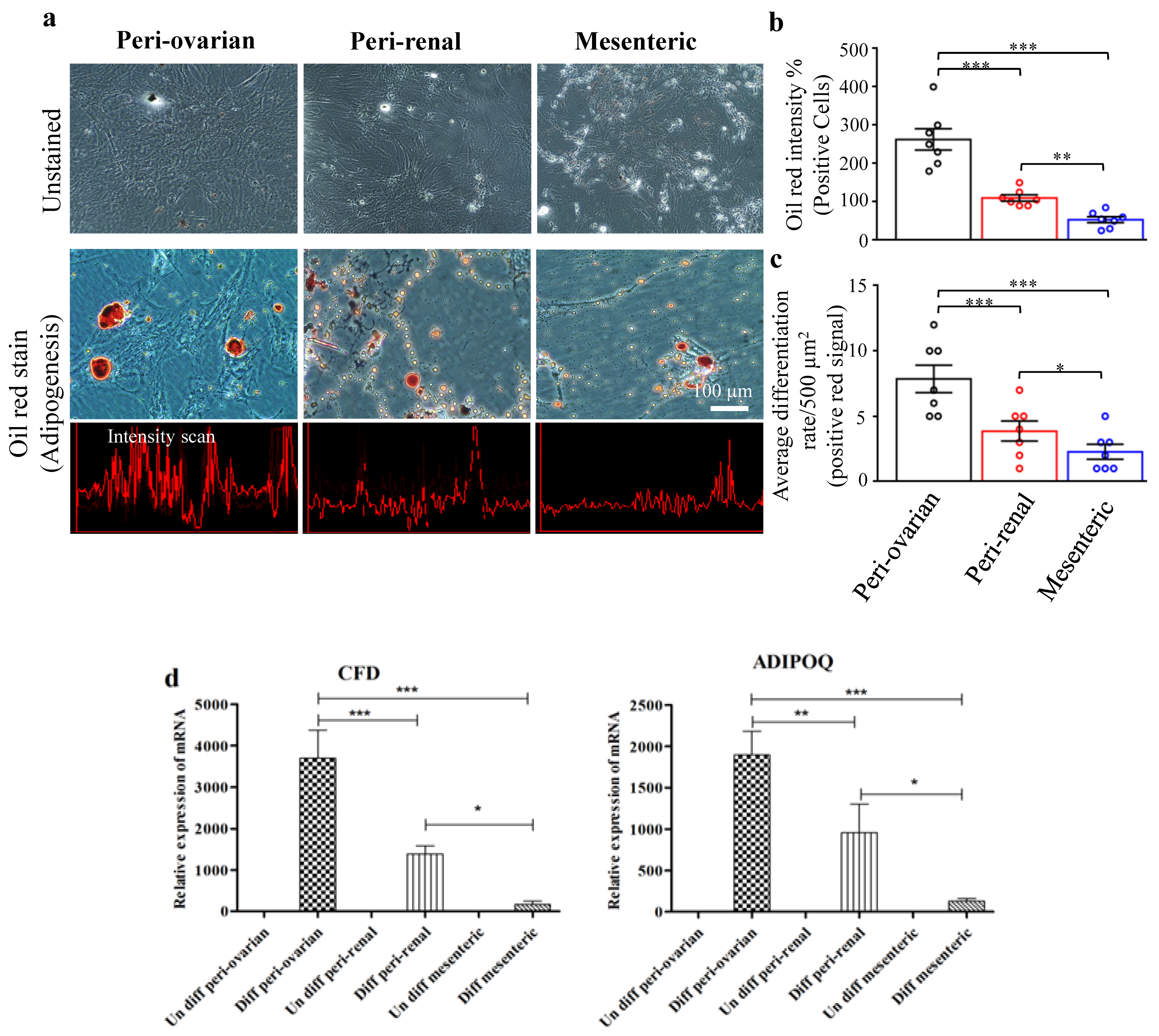 Cells 10 02469 g004