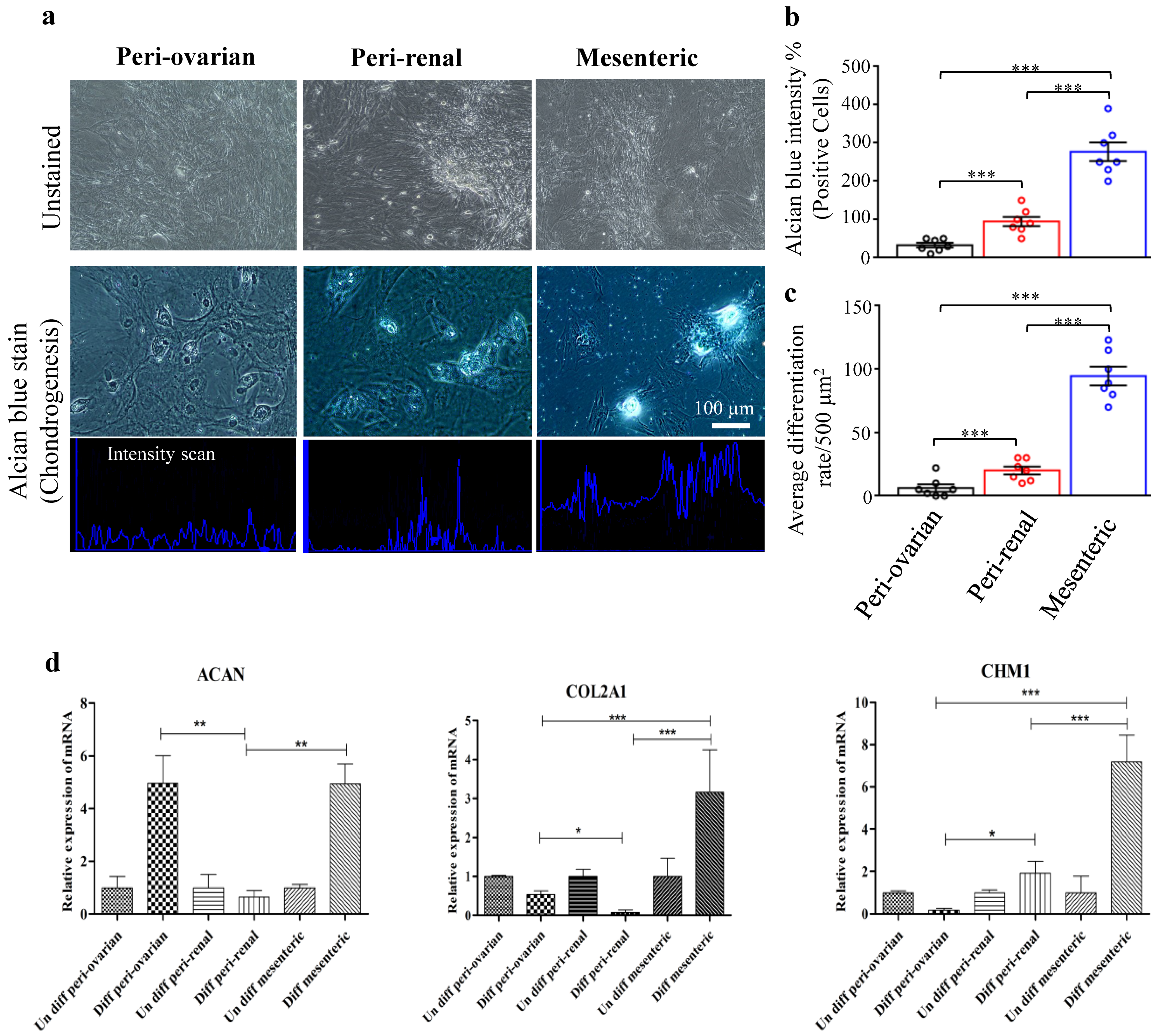 Cells 10 02469 g006