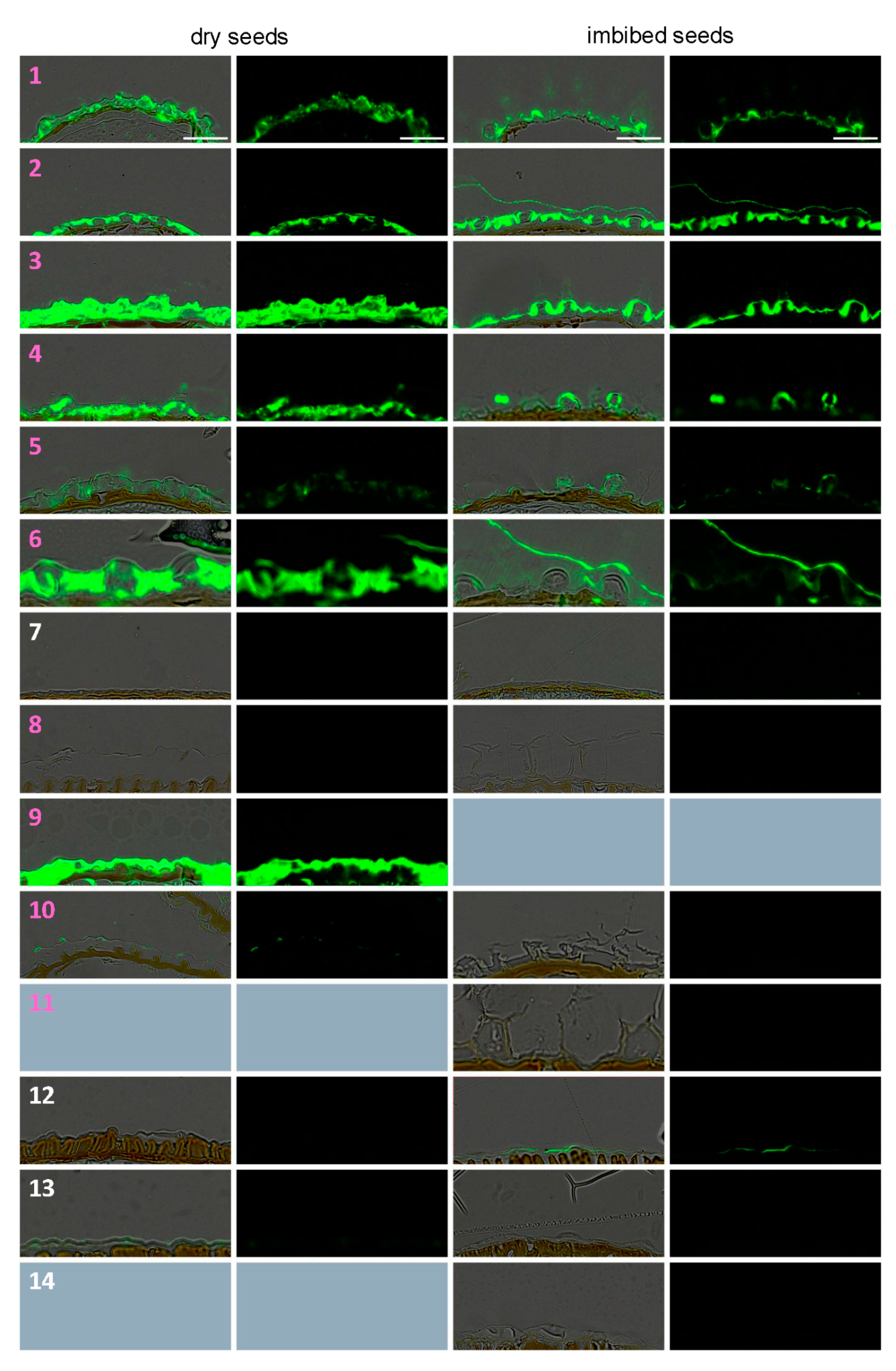 Cells 10 02470 g006a