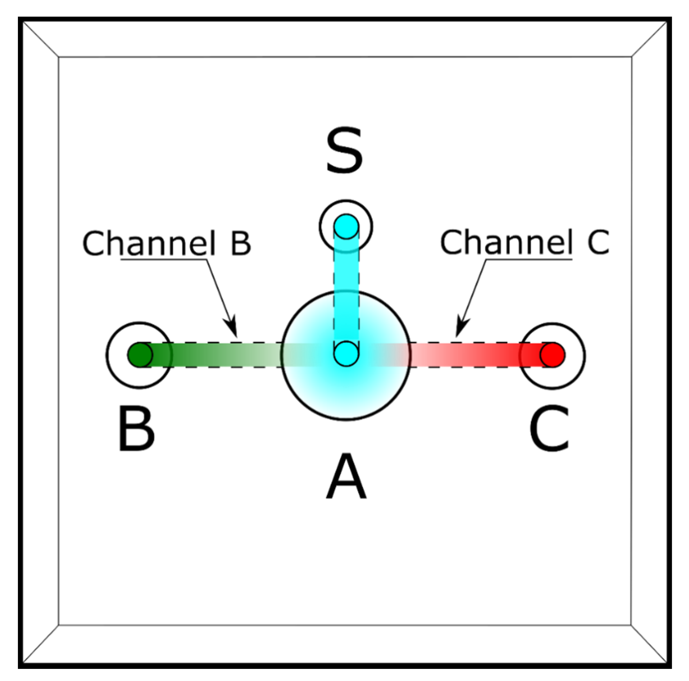 Cells 10 02472 g001 Cells 10 02472 g001