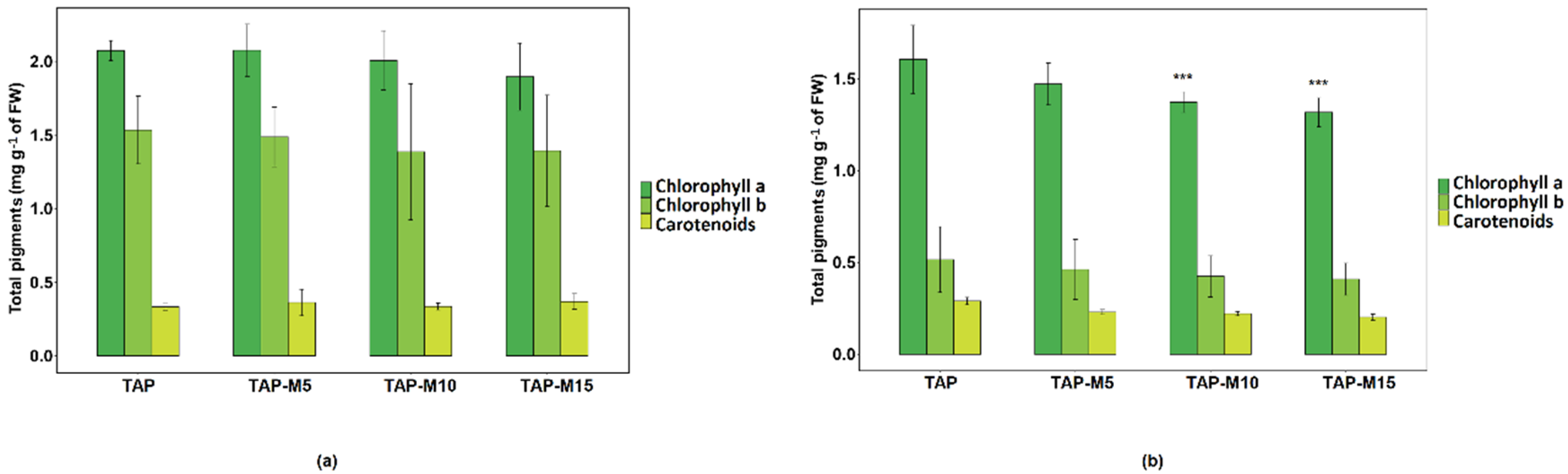 Cells 10 02490 g005 Cells 10 02490 g005