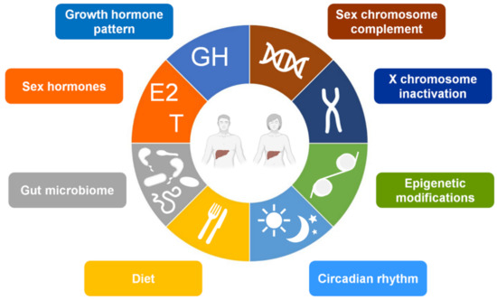 Cells Free Full Text Beyond The X Factor Relevance Of Sex Hormones In Nafld Pathophysiology 5380