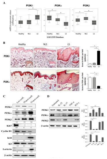 Cells | Free Full-Text | PI3Kδ Sustains Keratinocyte Hyperproliferation and  Epithelial Inflammation: Implications for a Topically Druggable Target in  Psoriasis | HTML