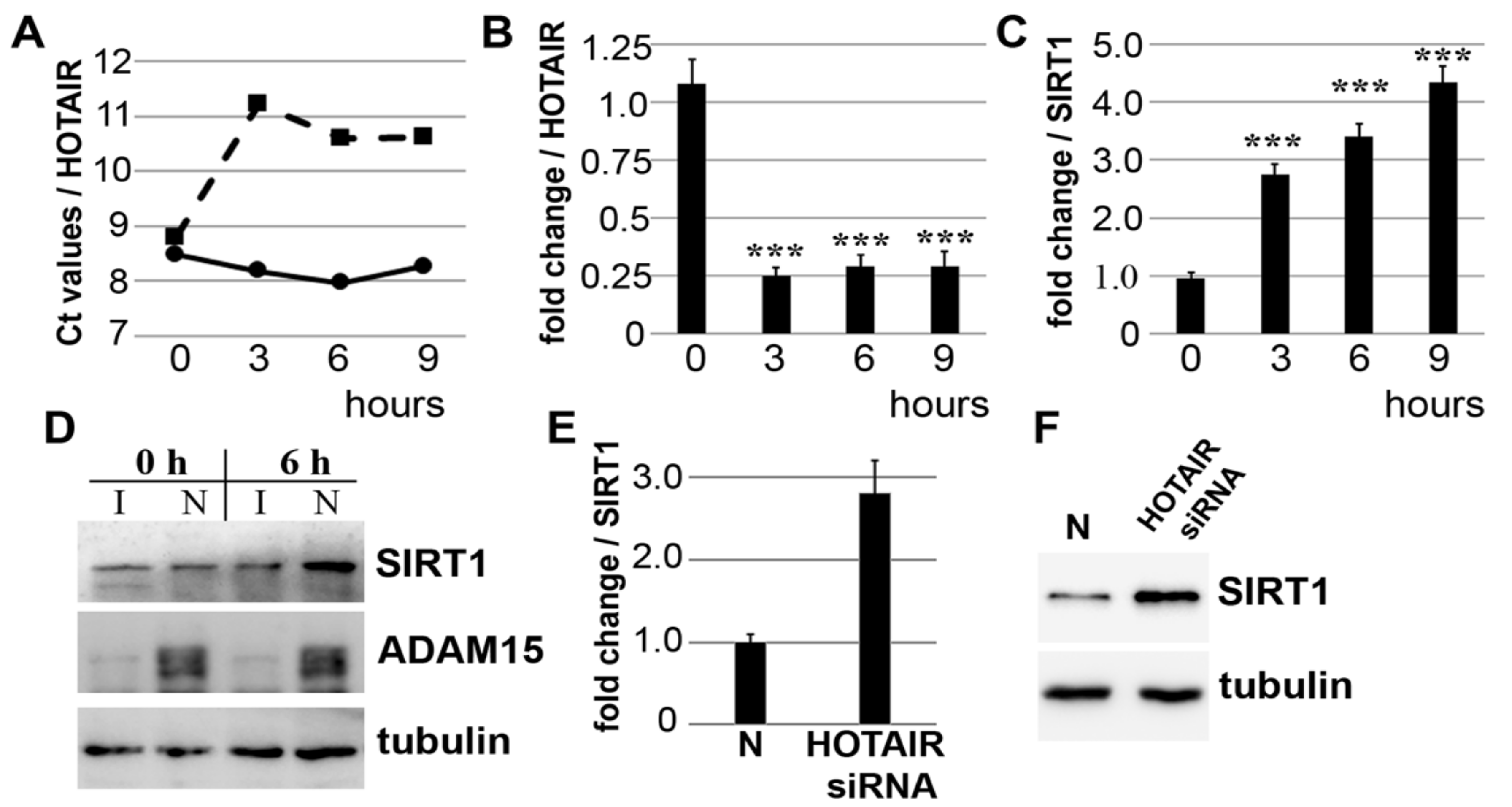 Cells 10 02705 g002 Cells 10 02705 g002